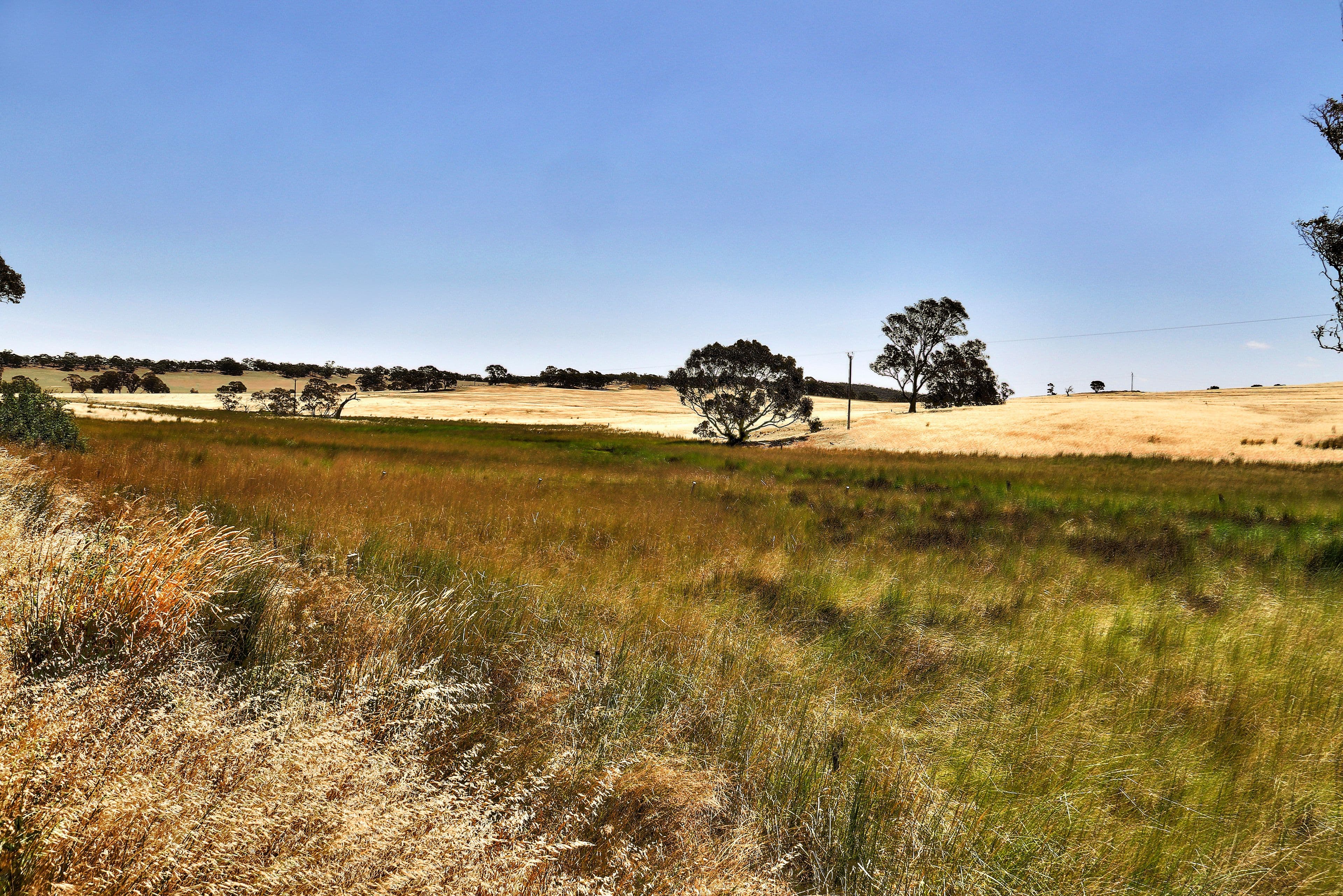 "Tarnma Block" Curio Highway, HAMPDEN SA 5374, Hampden - Thumbnail 8