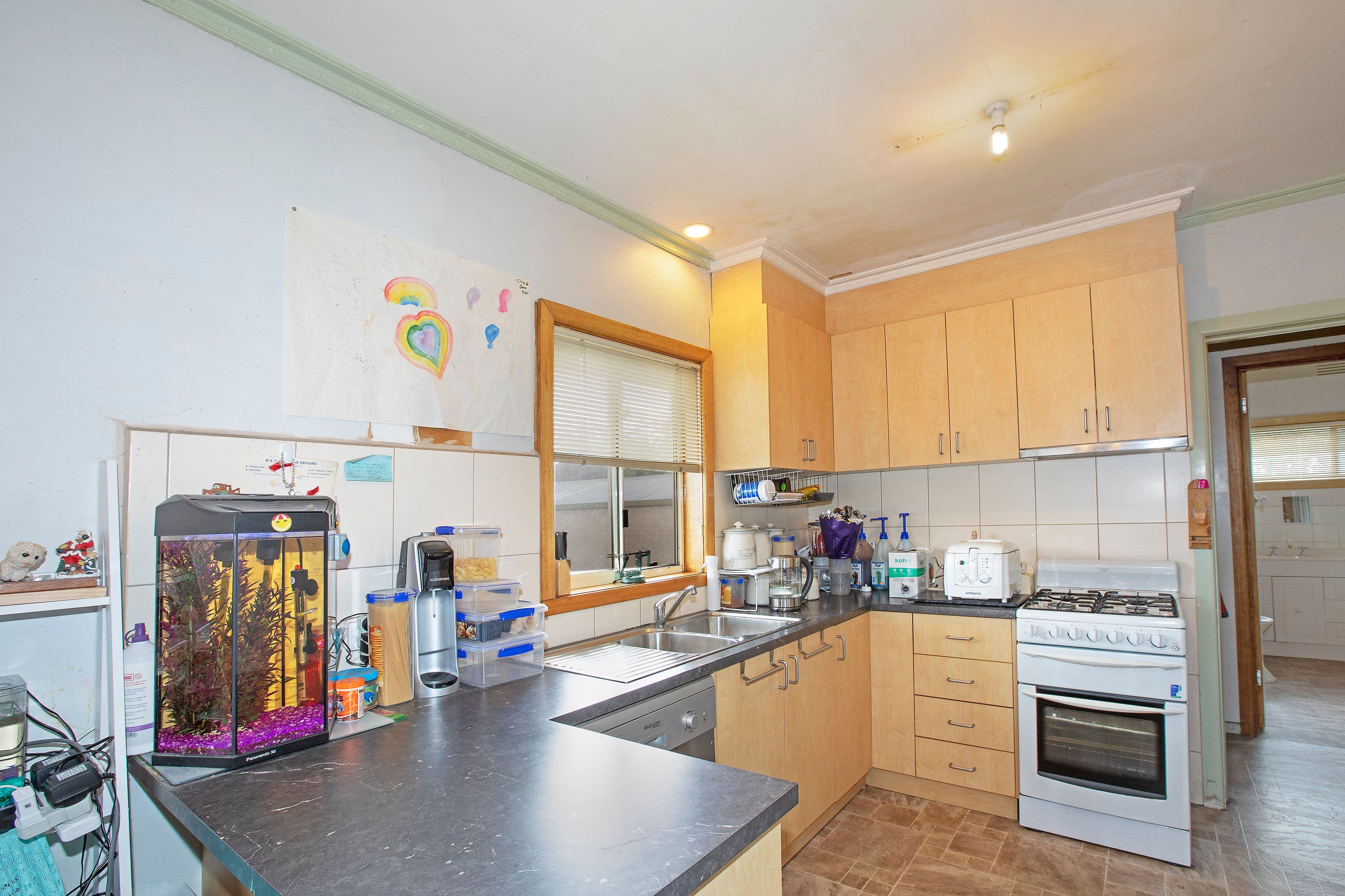 4 Merralyn Street, Belmont VIC 3216, Belmont - Thumbnail 3