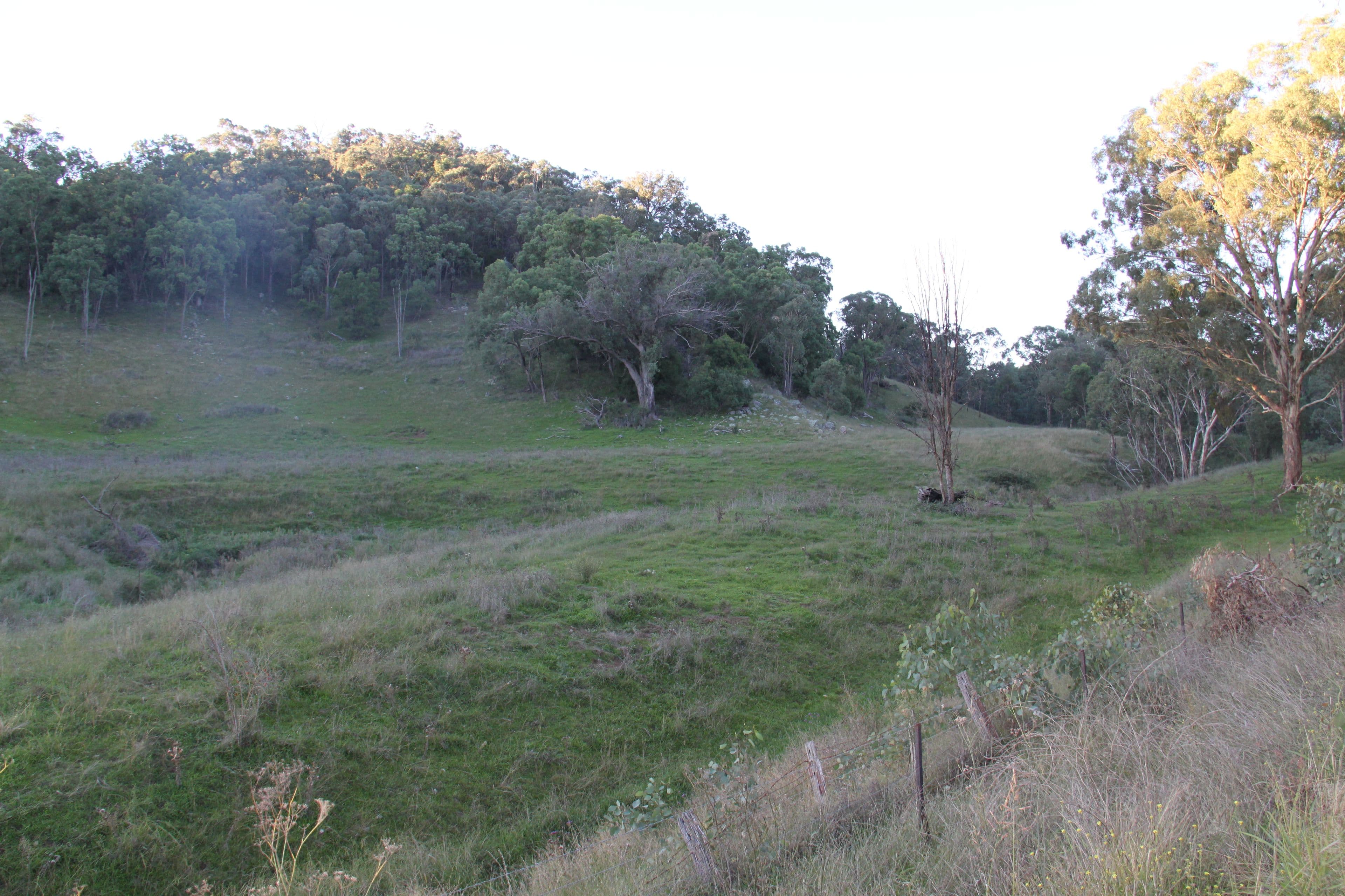 97 Woolomin Gap Road, Woolomin NSW 2340, Woolomin - Thumbnail 7