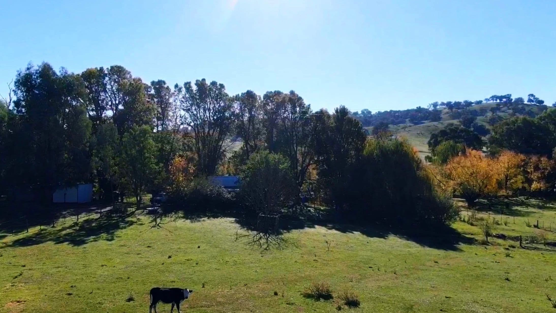 736 Woomargama Way, Woomargama NSW 2644, Woomargama - Thumbnail 4