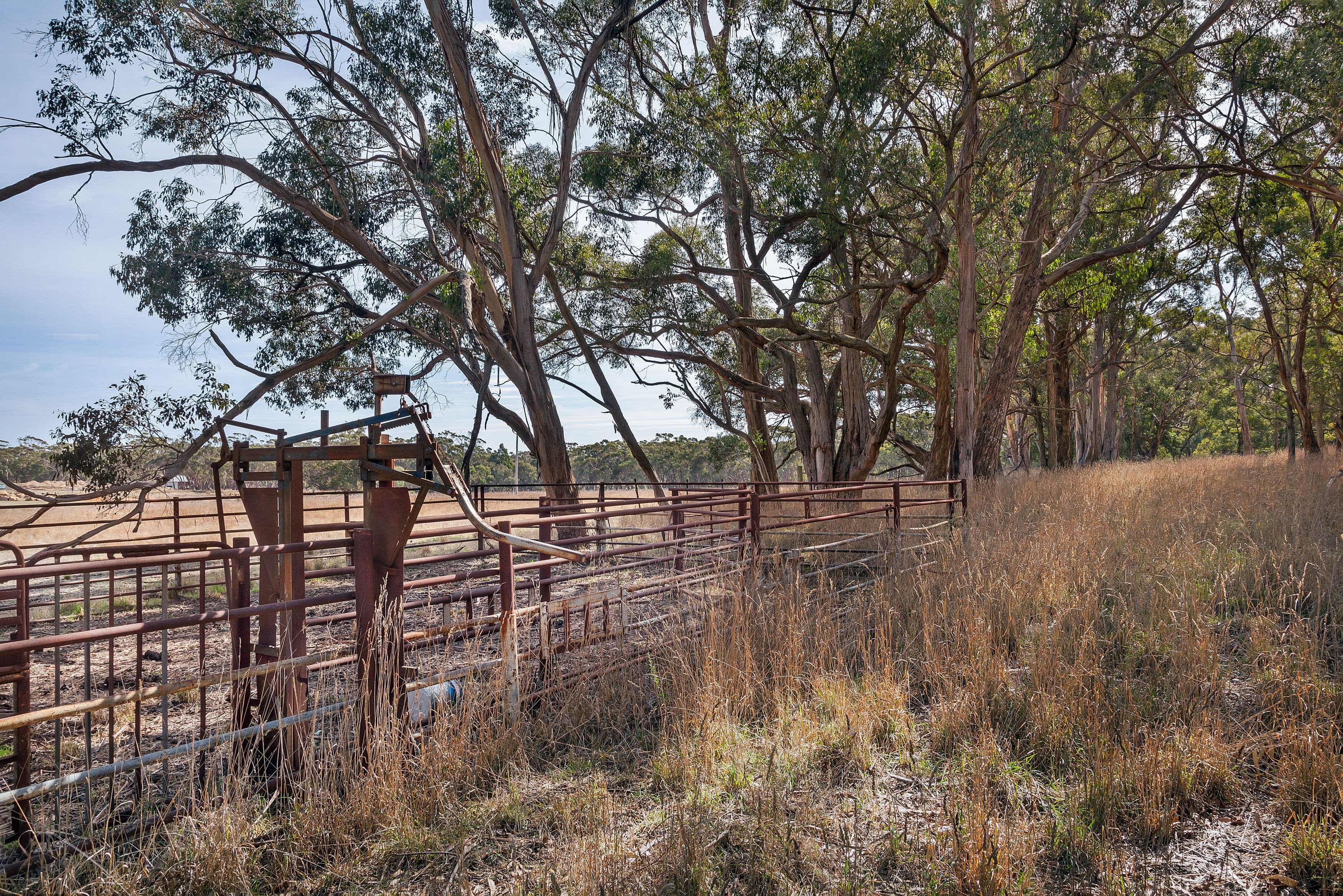 Lot 1/CA L Greenhill Road, Mount Helen  Victoria  3350, Australia, Mount Helen - Thumbnail 5
