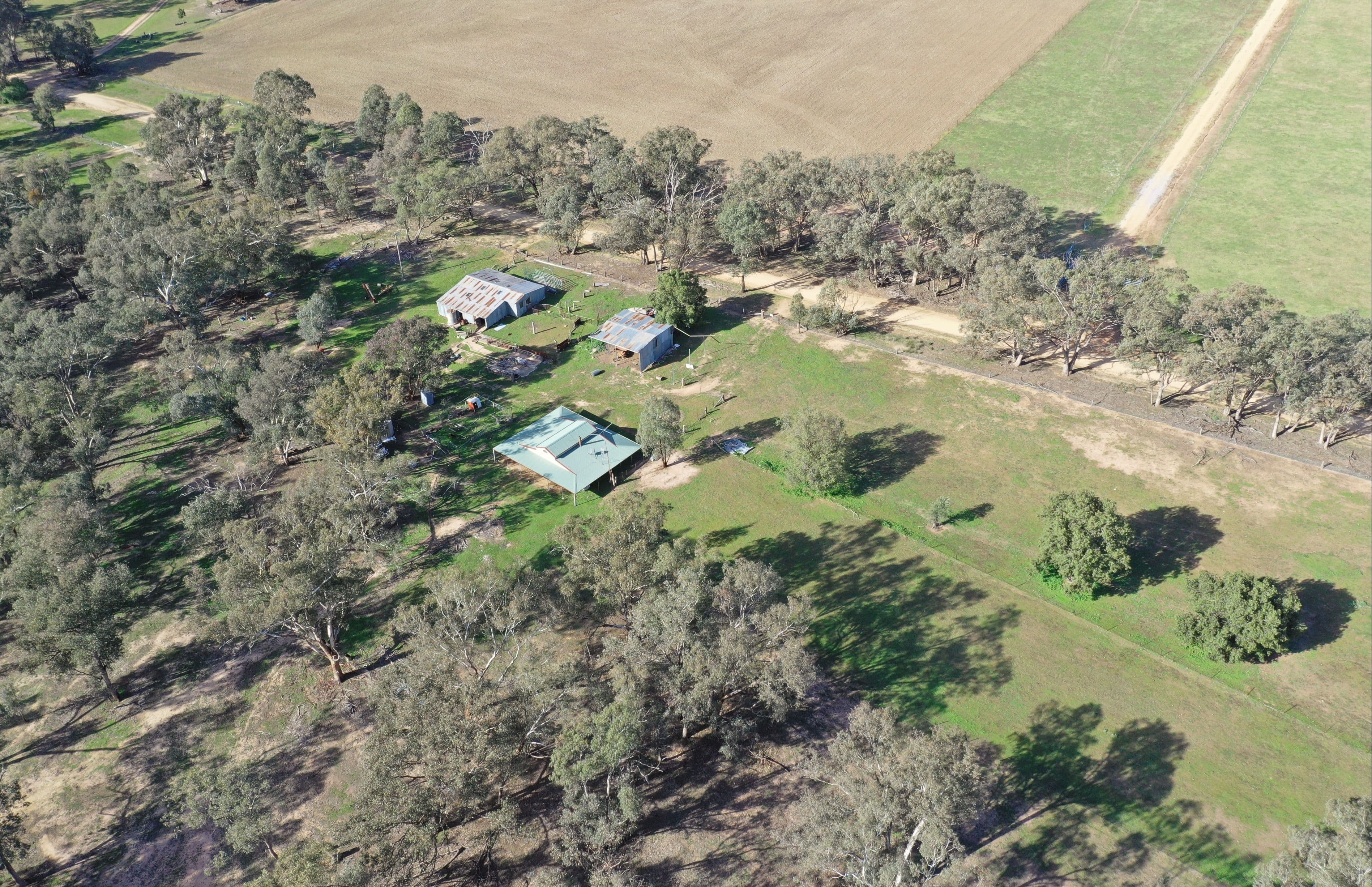 51 Sads Lane, Young NSW 2594, Young - Thumbnail 4