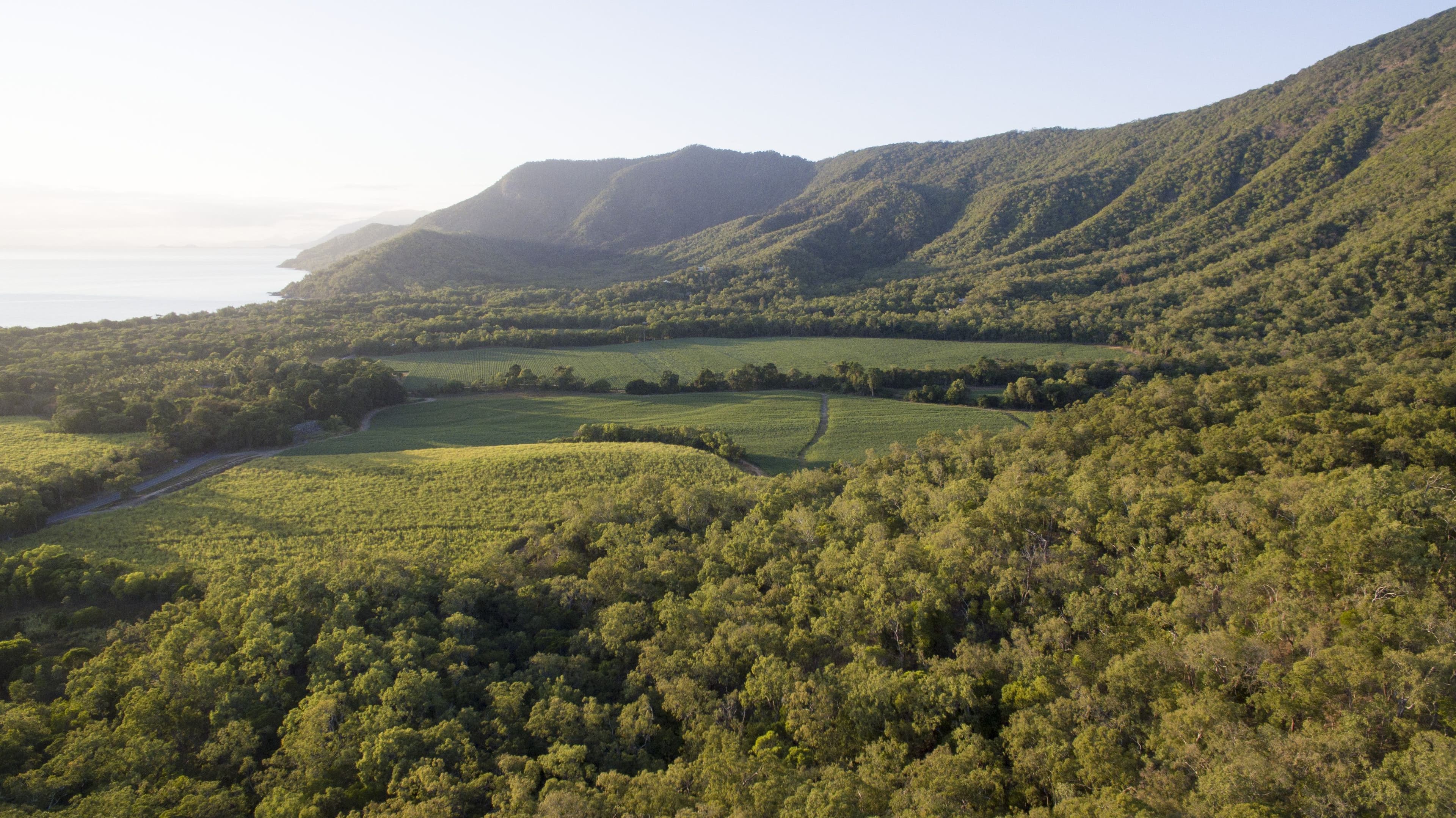 Lot 10 (5077) Captain Cook Highway, Oak Beach QLD 4877, Oak Beach - Thumbnail 8
