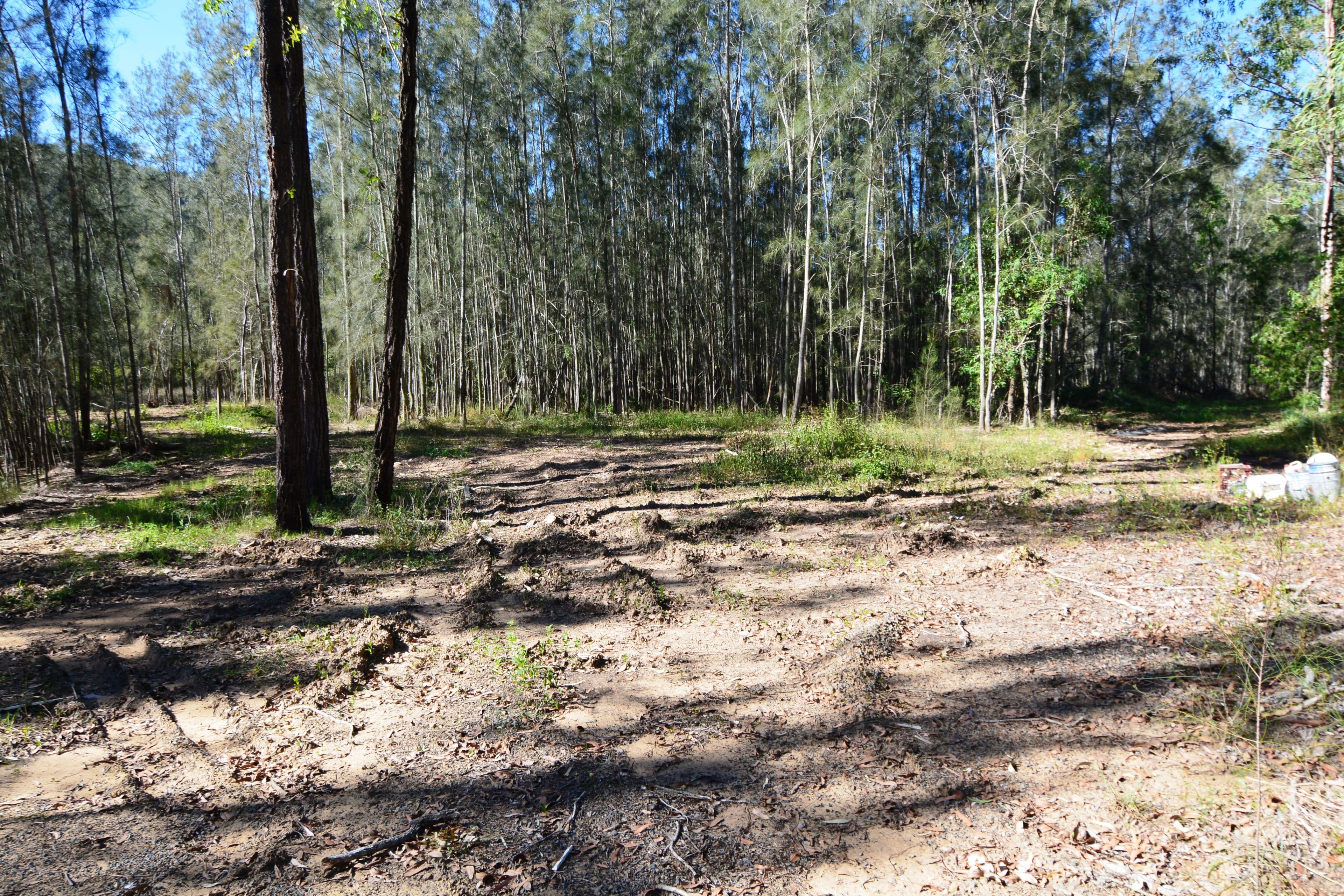 4015 Wisemans Ferry Road, Lower Mangrove NSW 2250, Lower Mangrove - Thumbnail 3