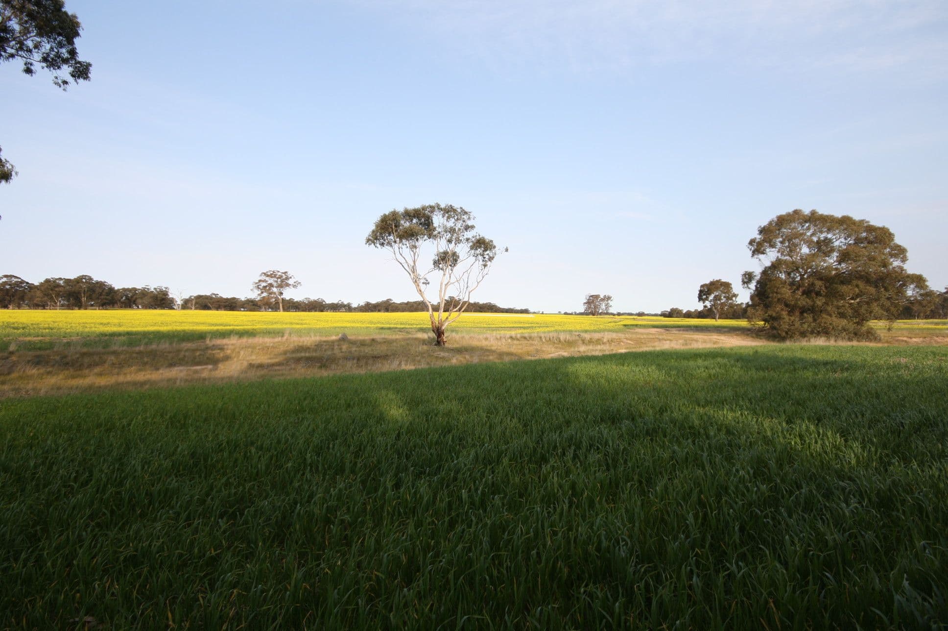 00 Dunolly Road, St Arnaud VIC 3478, St Arnaud - Thumbnail 6