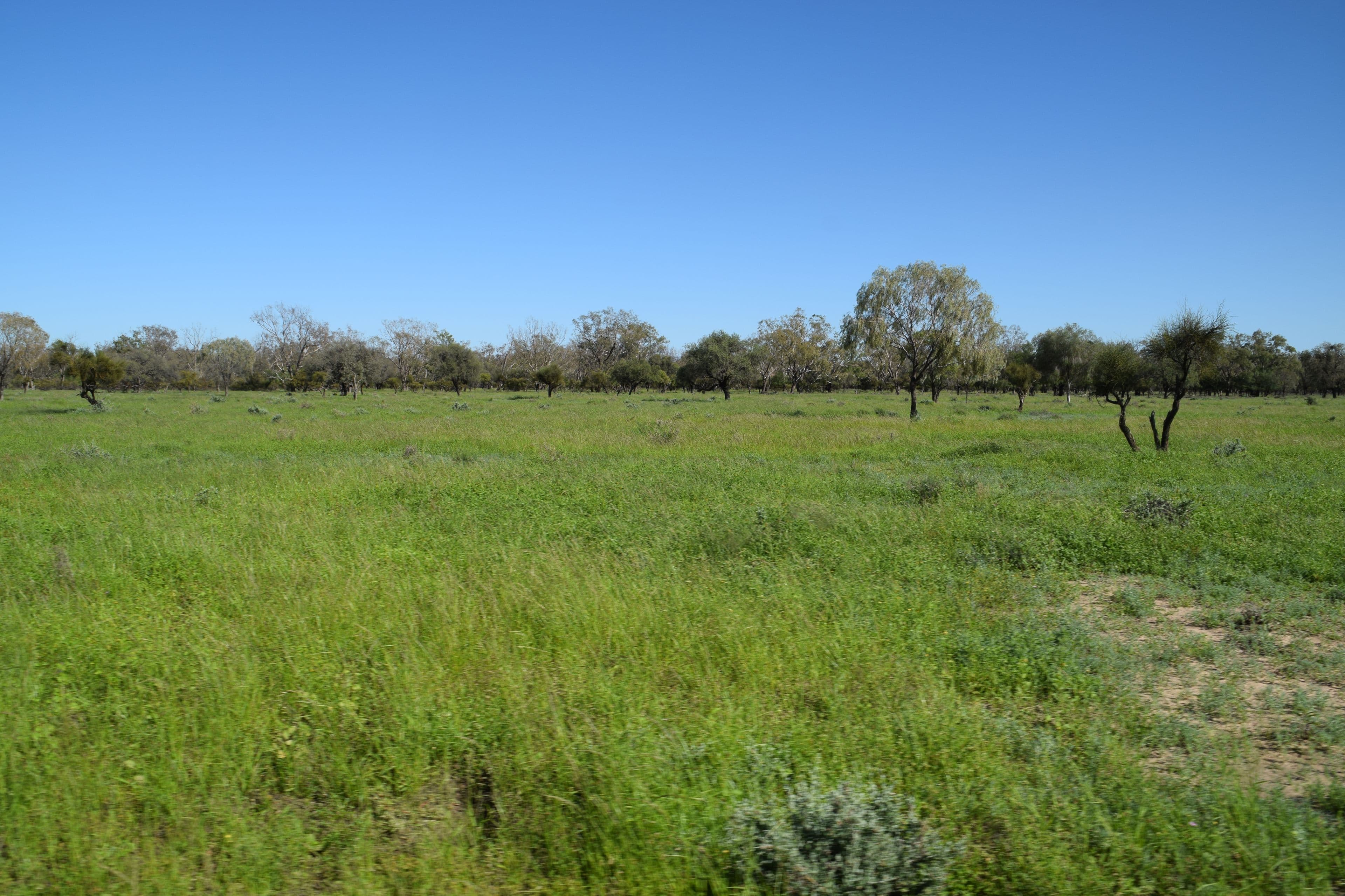 'Guiseley' 2606 Gingie Road, Walgett NSW 2832, Walgett - Thumbnail 5