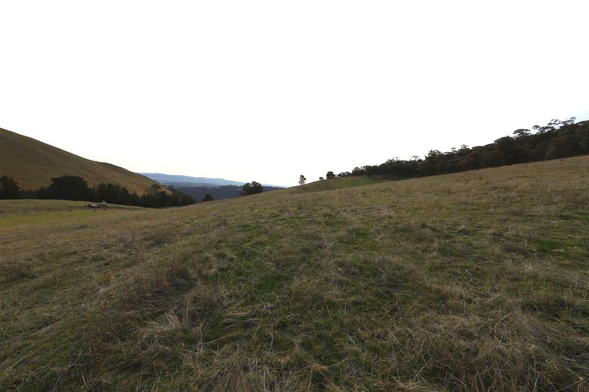 837 Argalong Road, Argalong NSW 2720, Argalong - Thumbnail 4