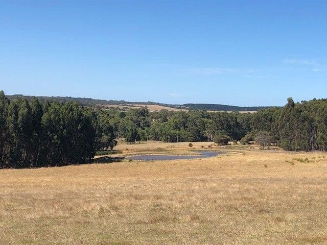 Lot 4 Mount Richard Road, Albany WA 6330, Albany - Thumbnail 4