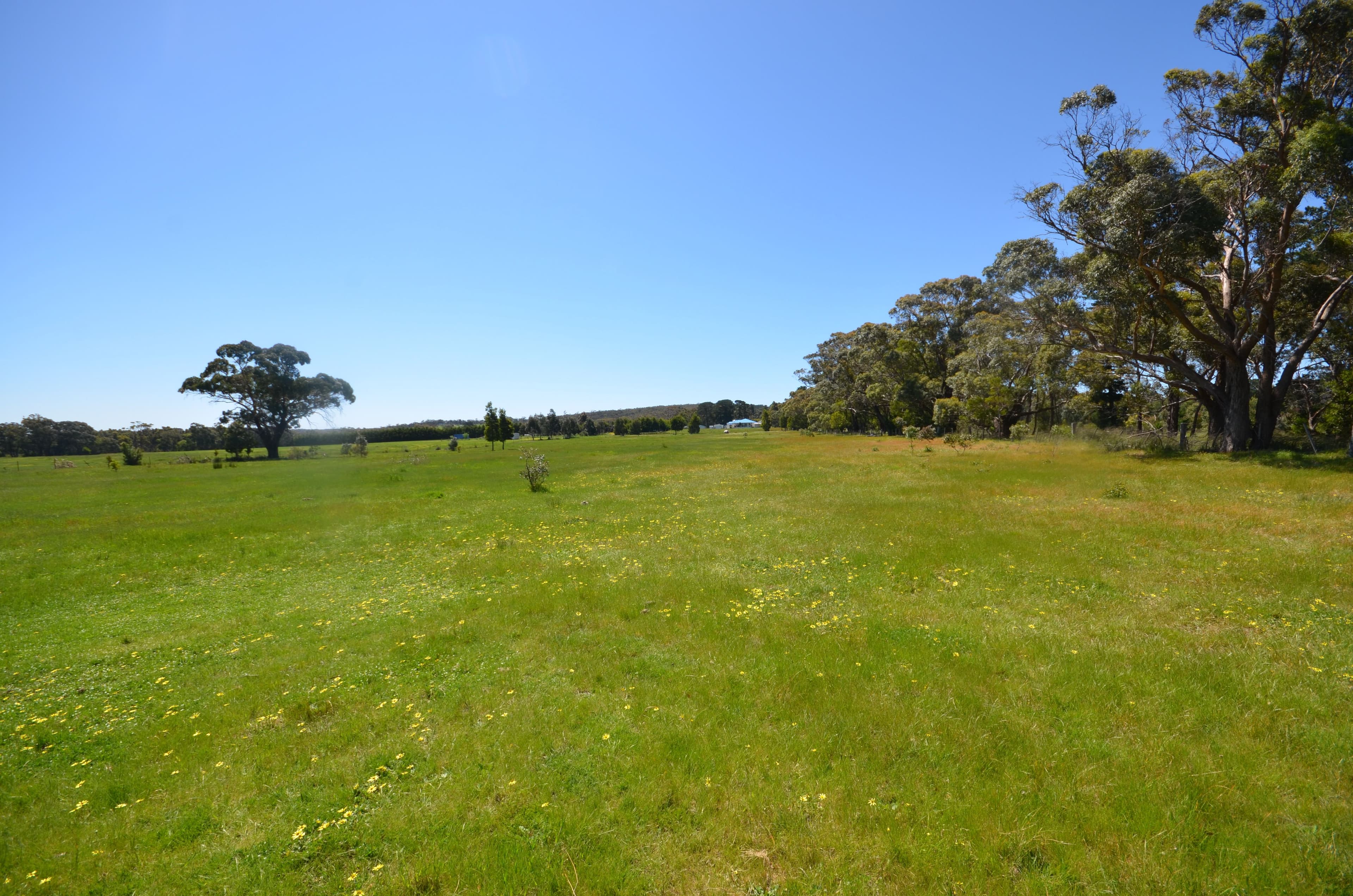 CA 1 Berringa Road, Berringa  Victoria  3351, Australia, Berringa - Thumbnail 5