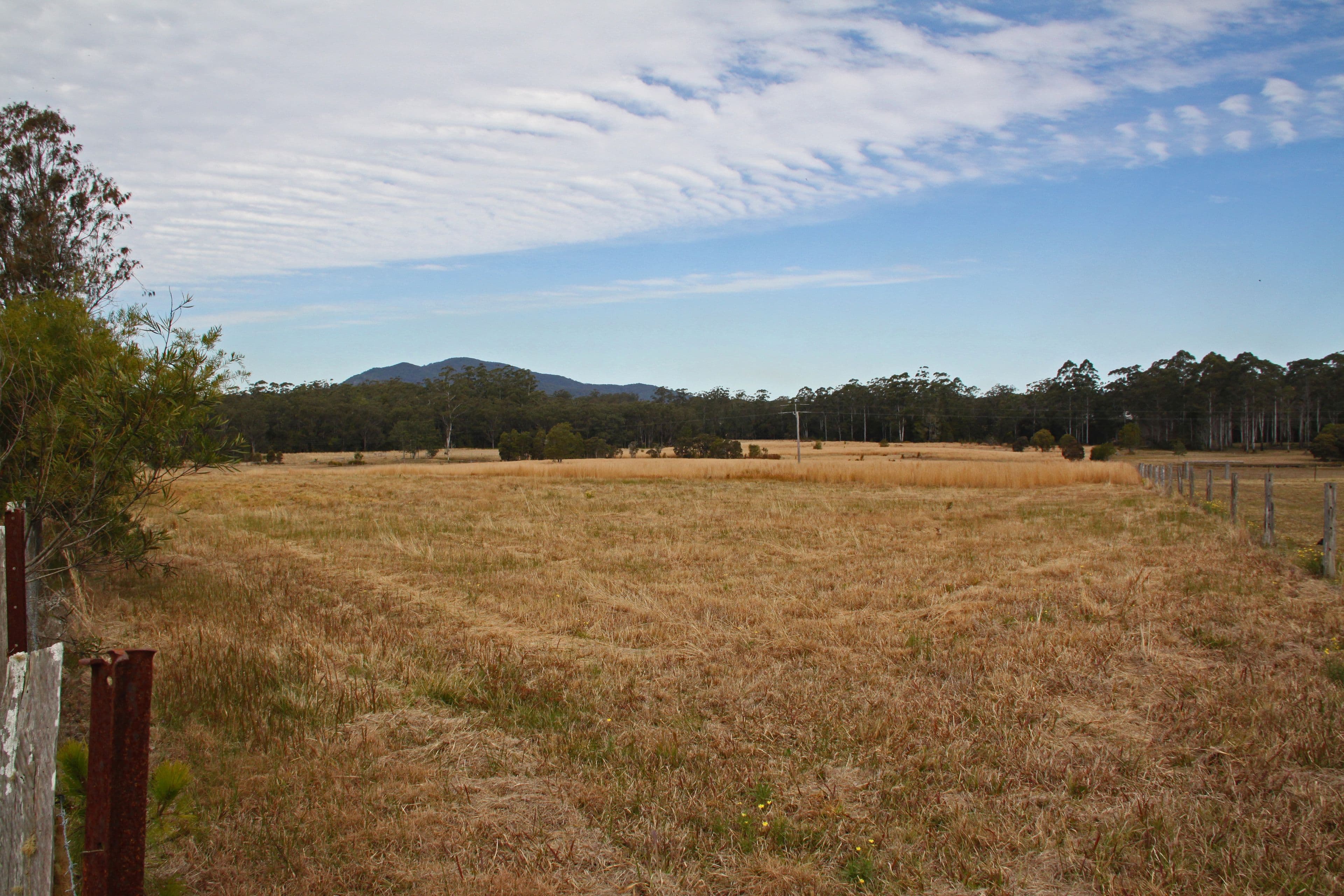 99 Bobs Creek Road, BOBS CREEK NSW 2439, Bobs Creek - Thumbnail 8