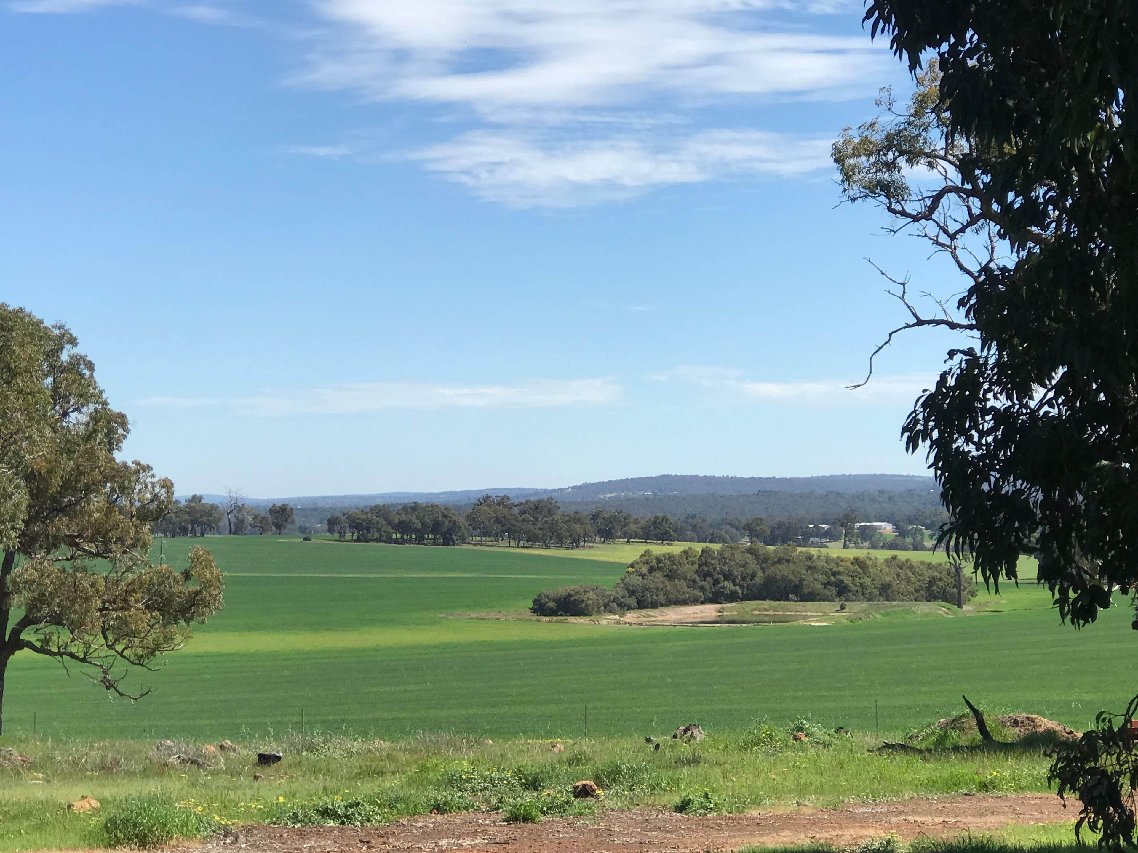550 Inkpen Road, Copley WA 6562, Copley - Thumbnail 3