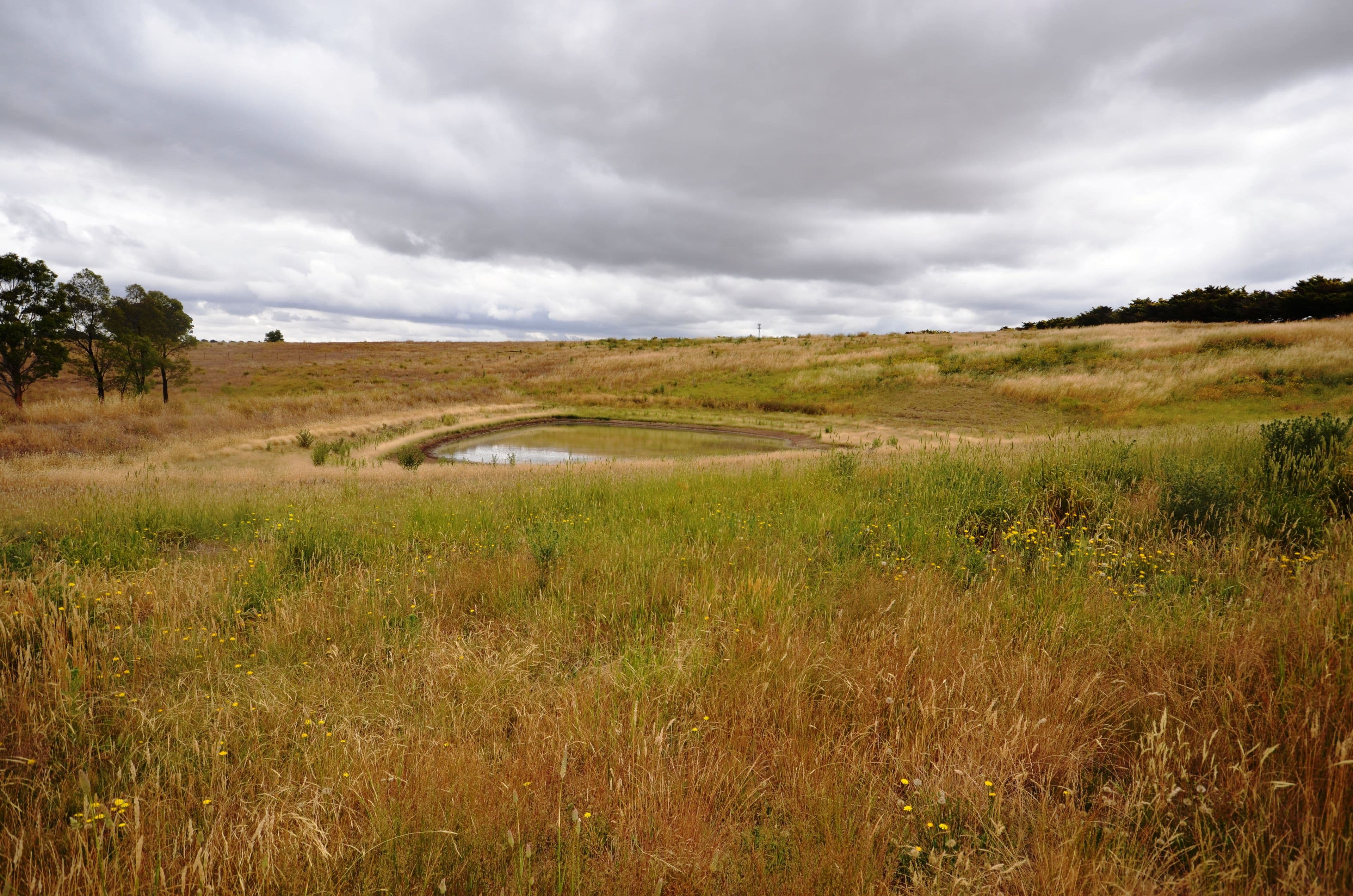 13 Pett Street, Skipton VIC 3361, Skipton - Thumbnail 3