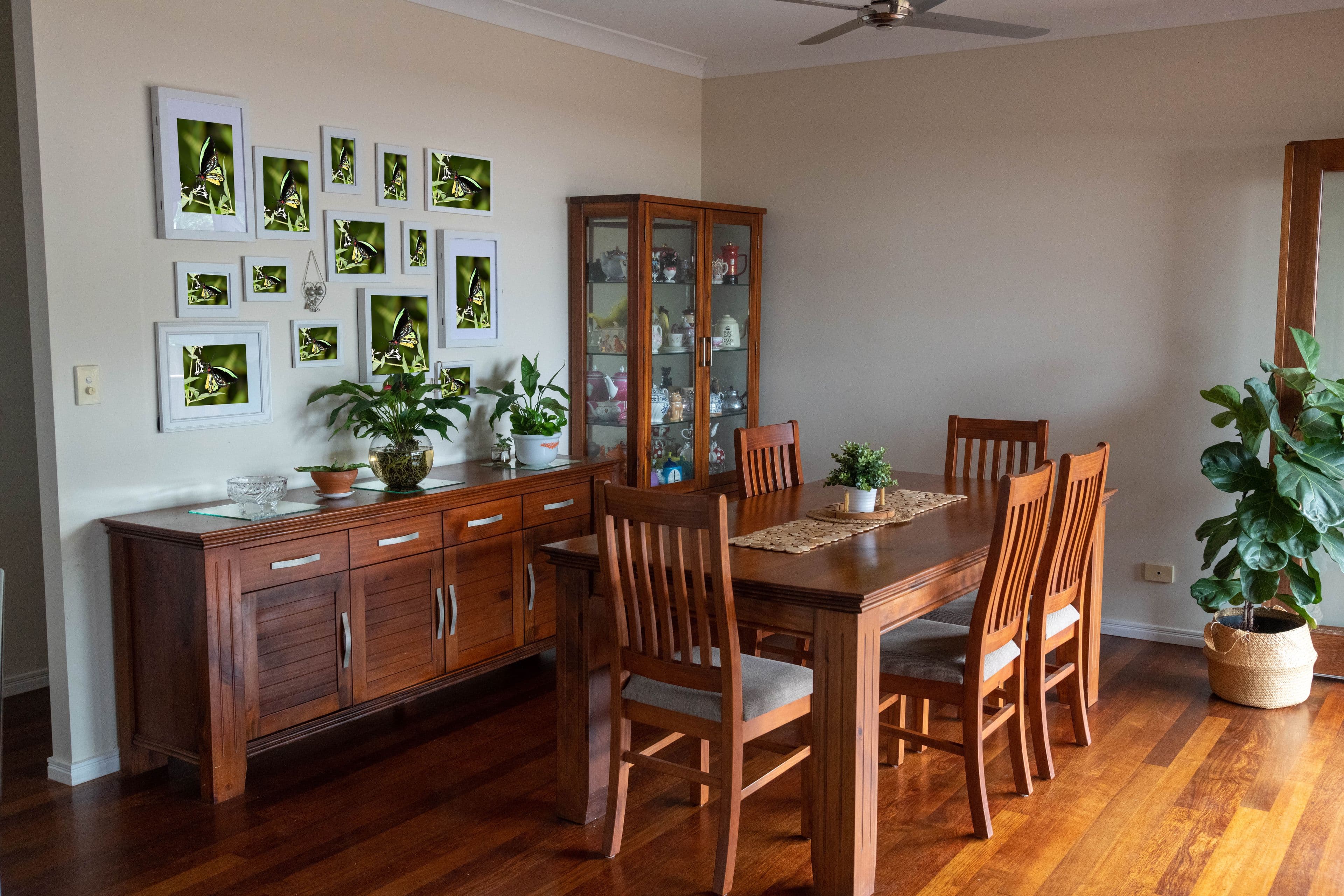 18 Anson Street, Bentley Park QLD 4869, Bentley Park - Thumbnail 5