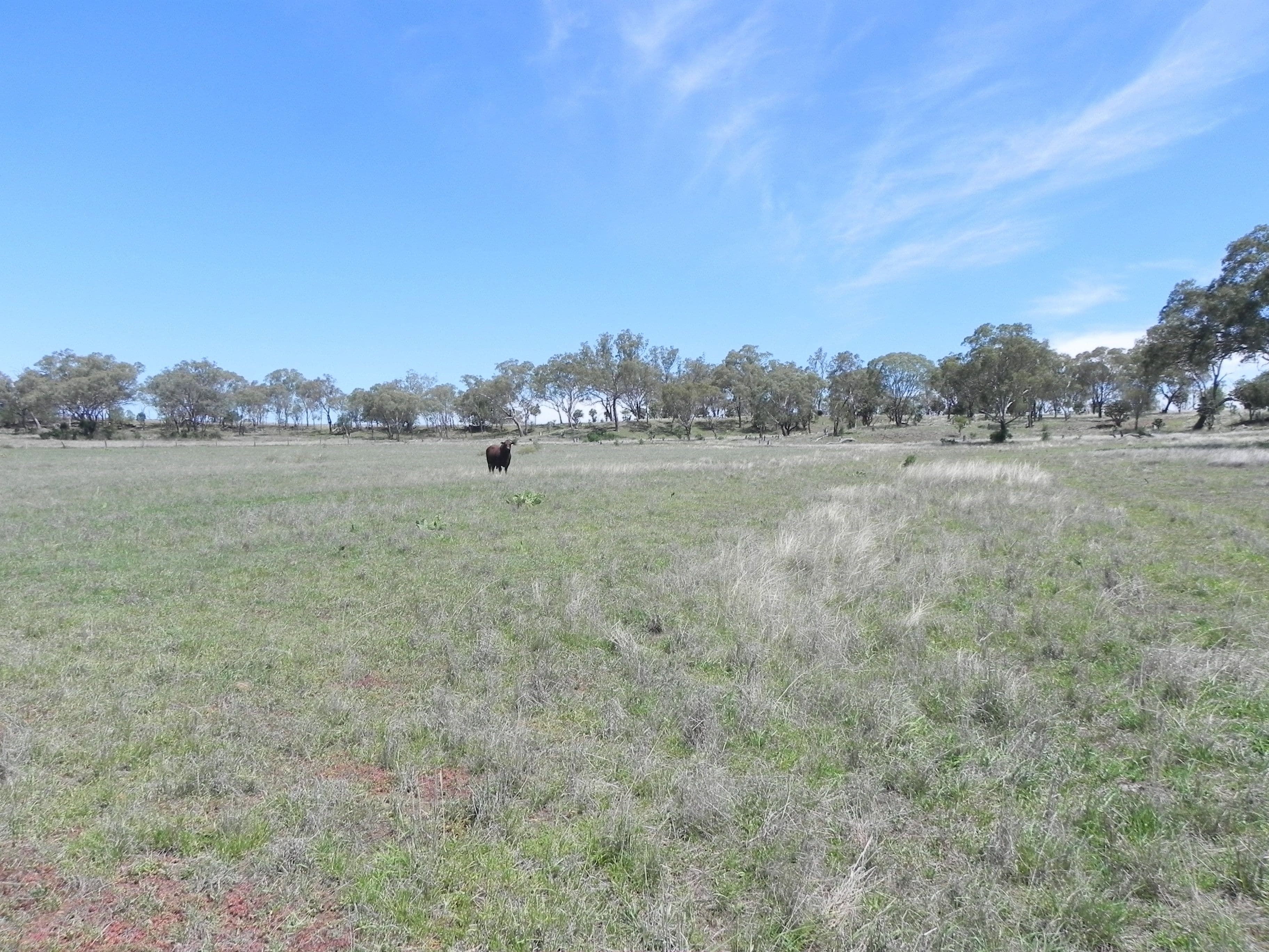 0 F Drews Road, Biddeston QLD 4401, Biddeston - Thumbnail 6