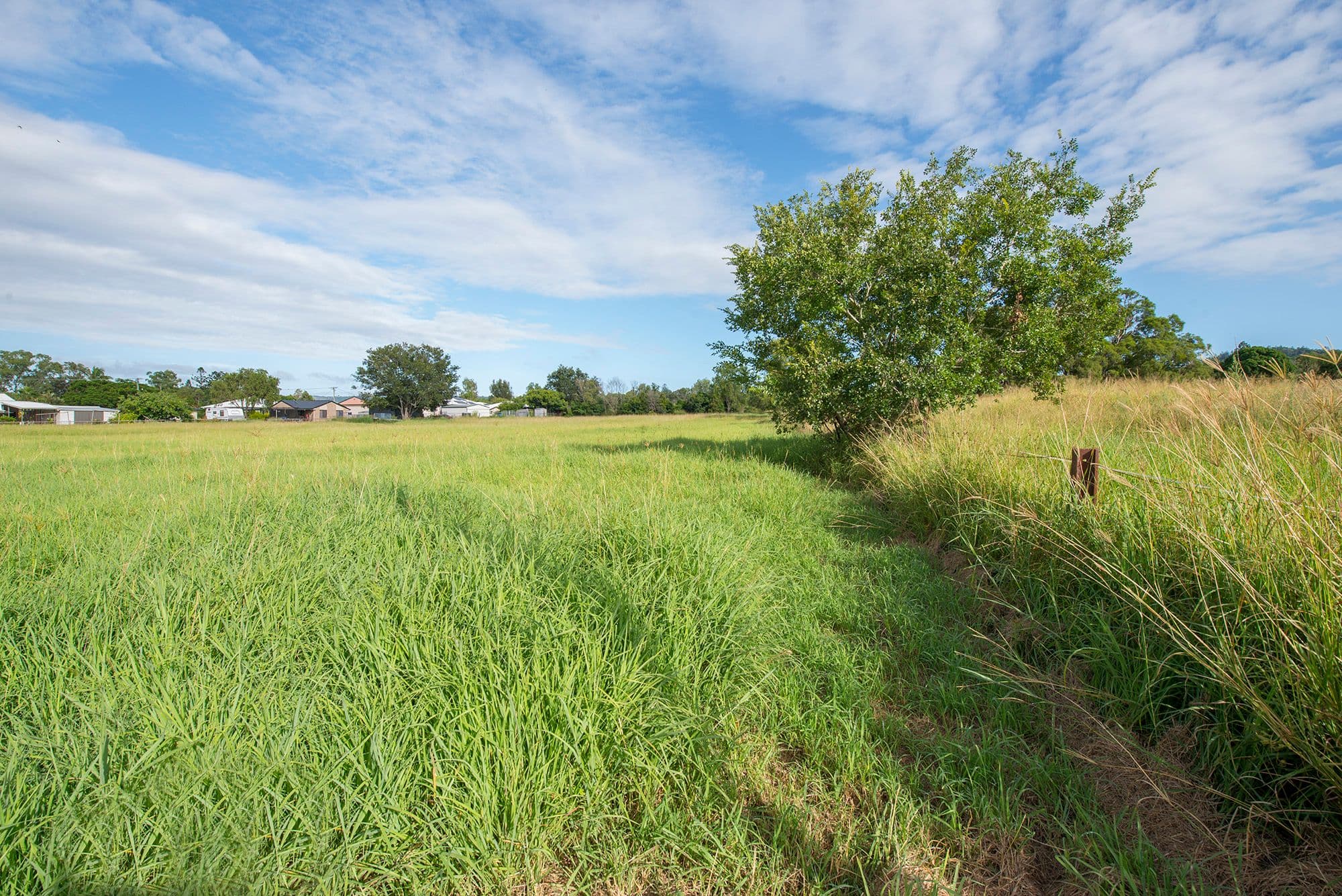 3A Trevlac Street, Rosewood QLD 4340, Rosewood - Thumbnail 6