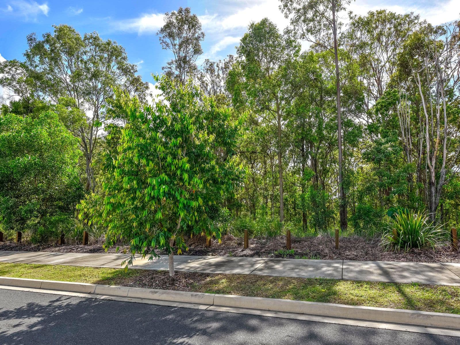 26 Sawmill Drive, Griffin QLD 4503, Griffin - Thumbnail 3