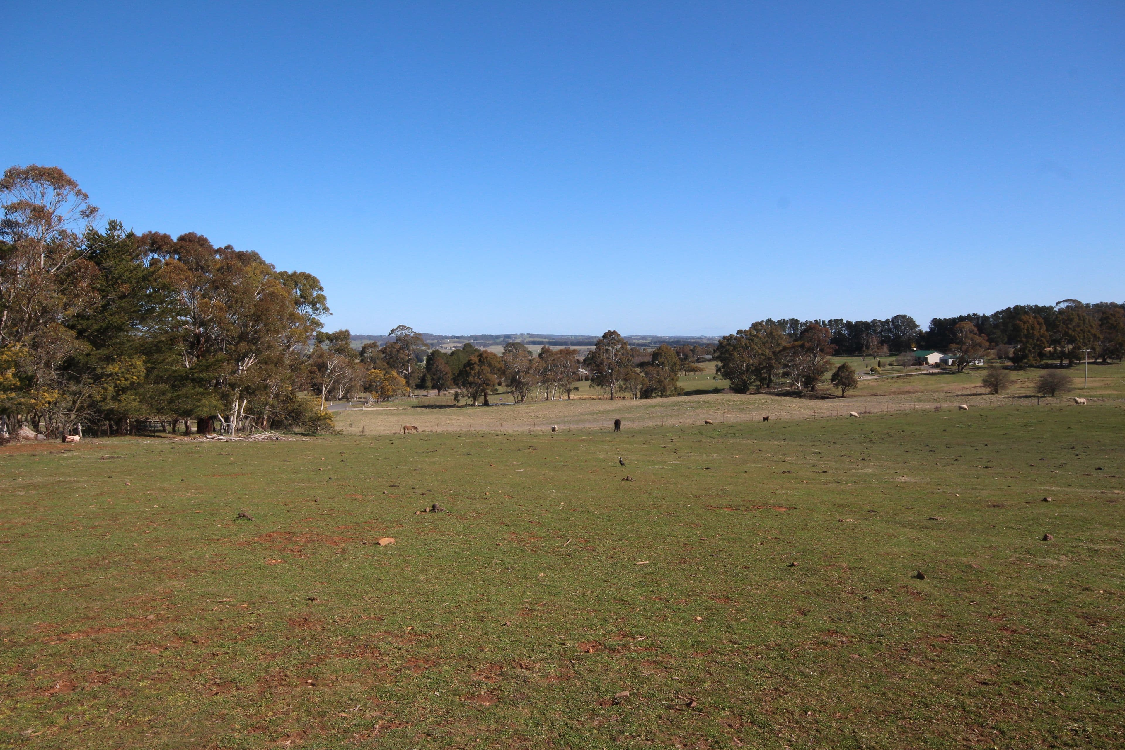 40 The Reef Road, Oberon NSW 2787, Oberon - Thumbnail 5