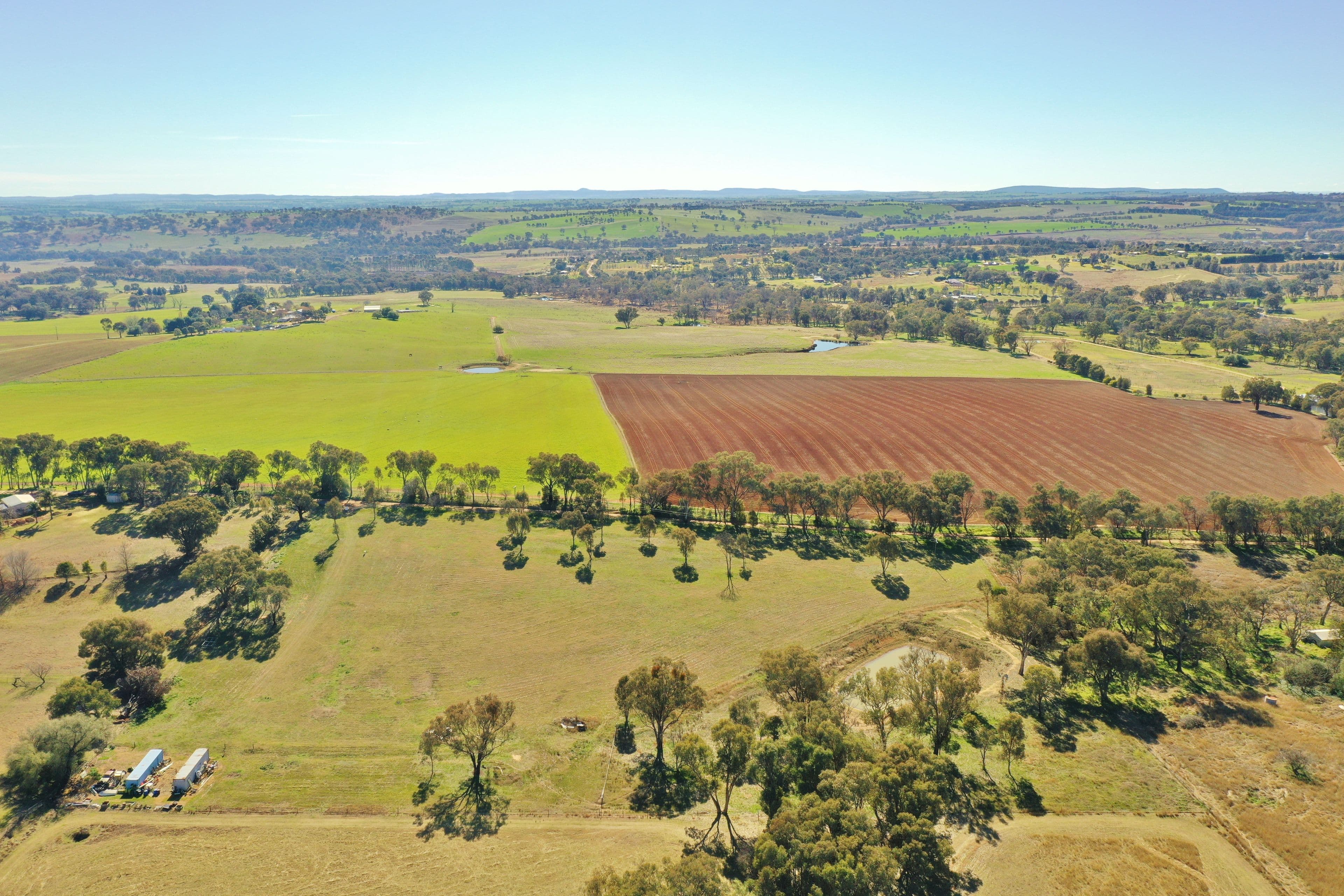 Lot 1986 Reynolds Lane, Young NSW 2594, Young - Thumbnail 3