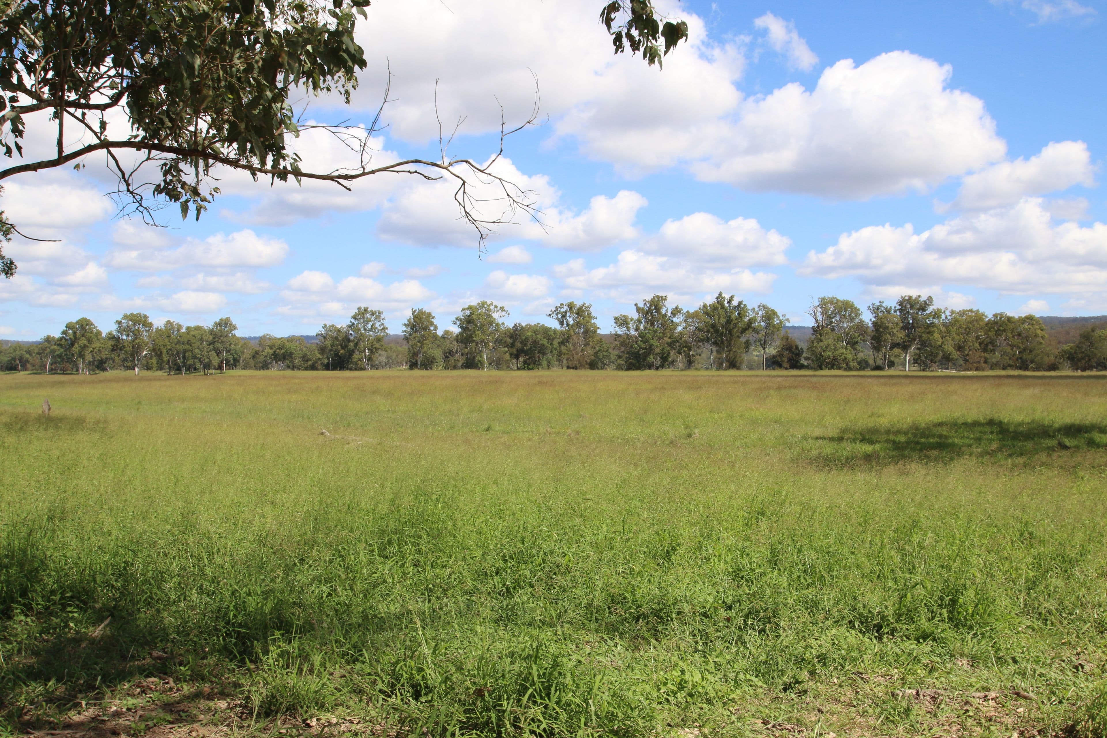 Monto QLD 4630, Monto - Thumbnail 5