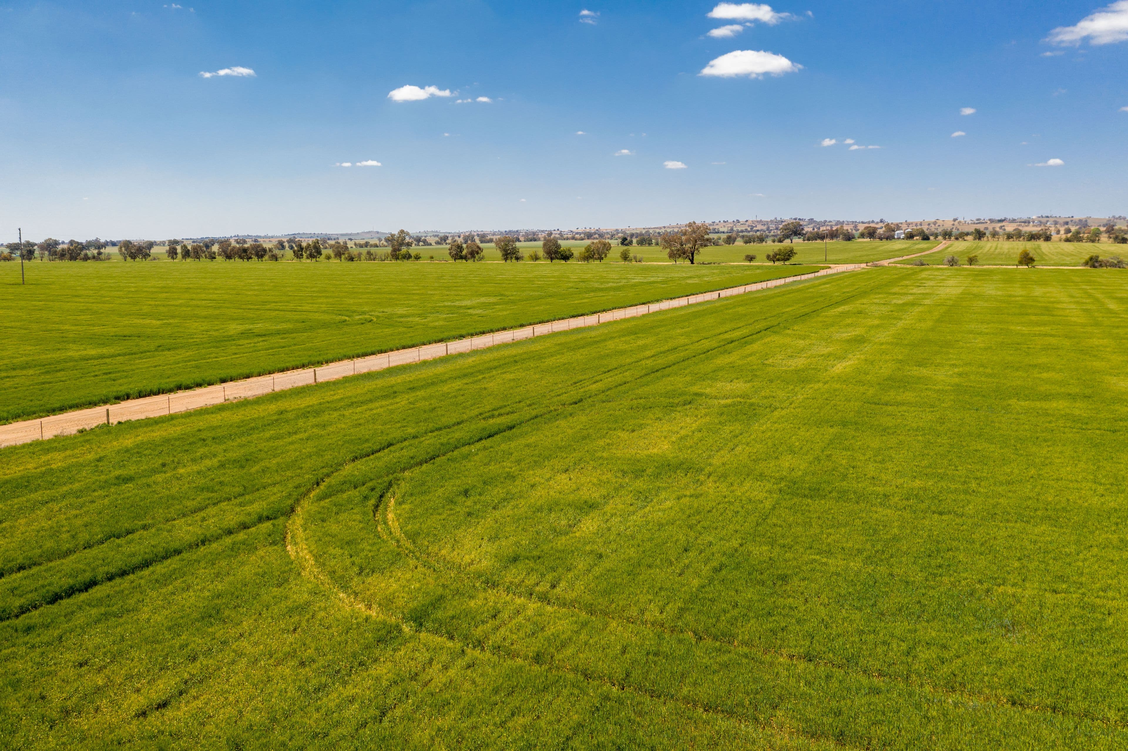 Junee NSW 2663, Junee - Thumbnail 4