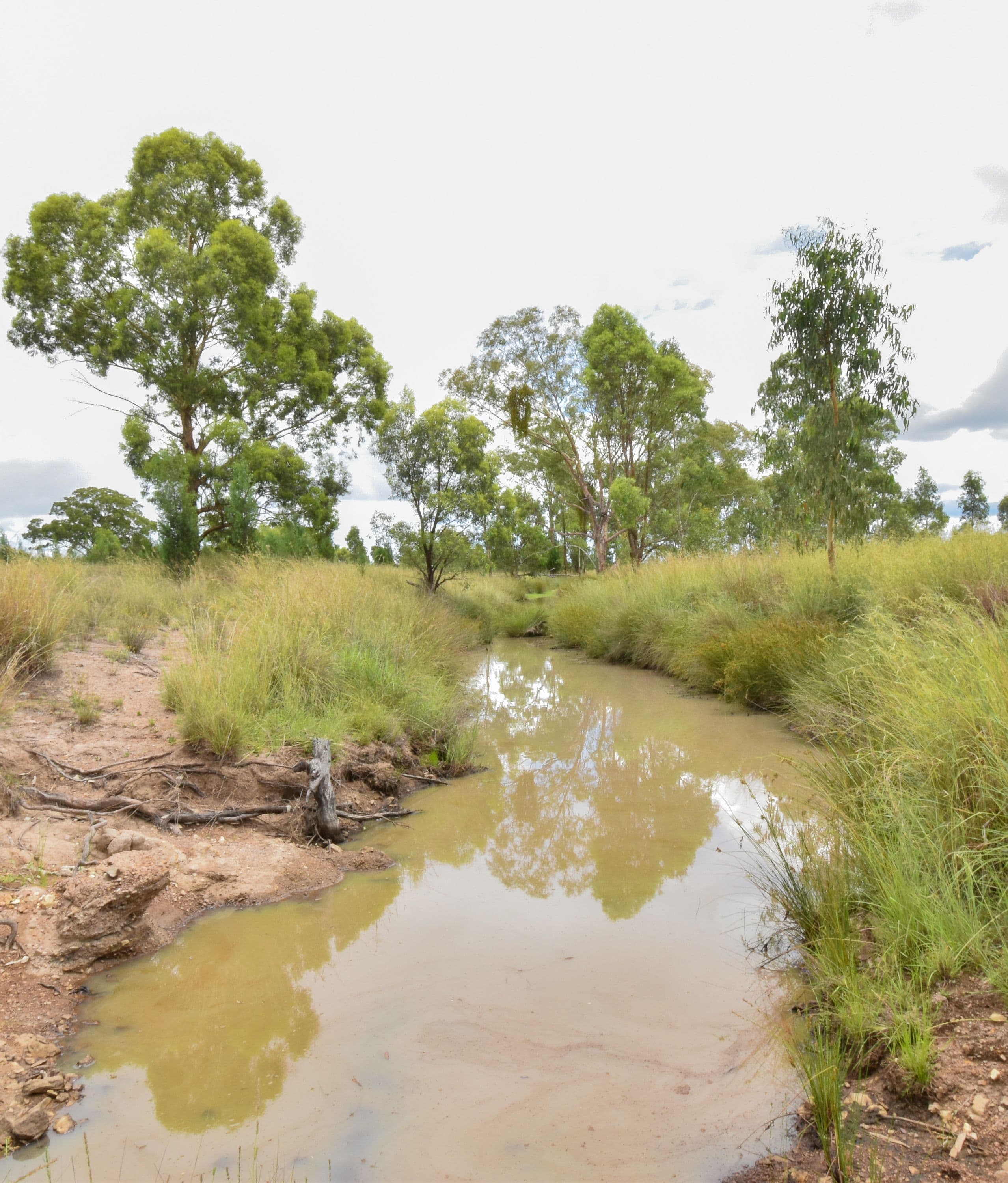 274 Homebush Road, GREENUP QLD 4387, Greenup - Thumbnail 6