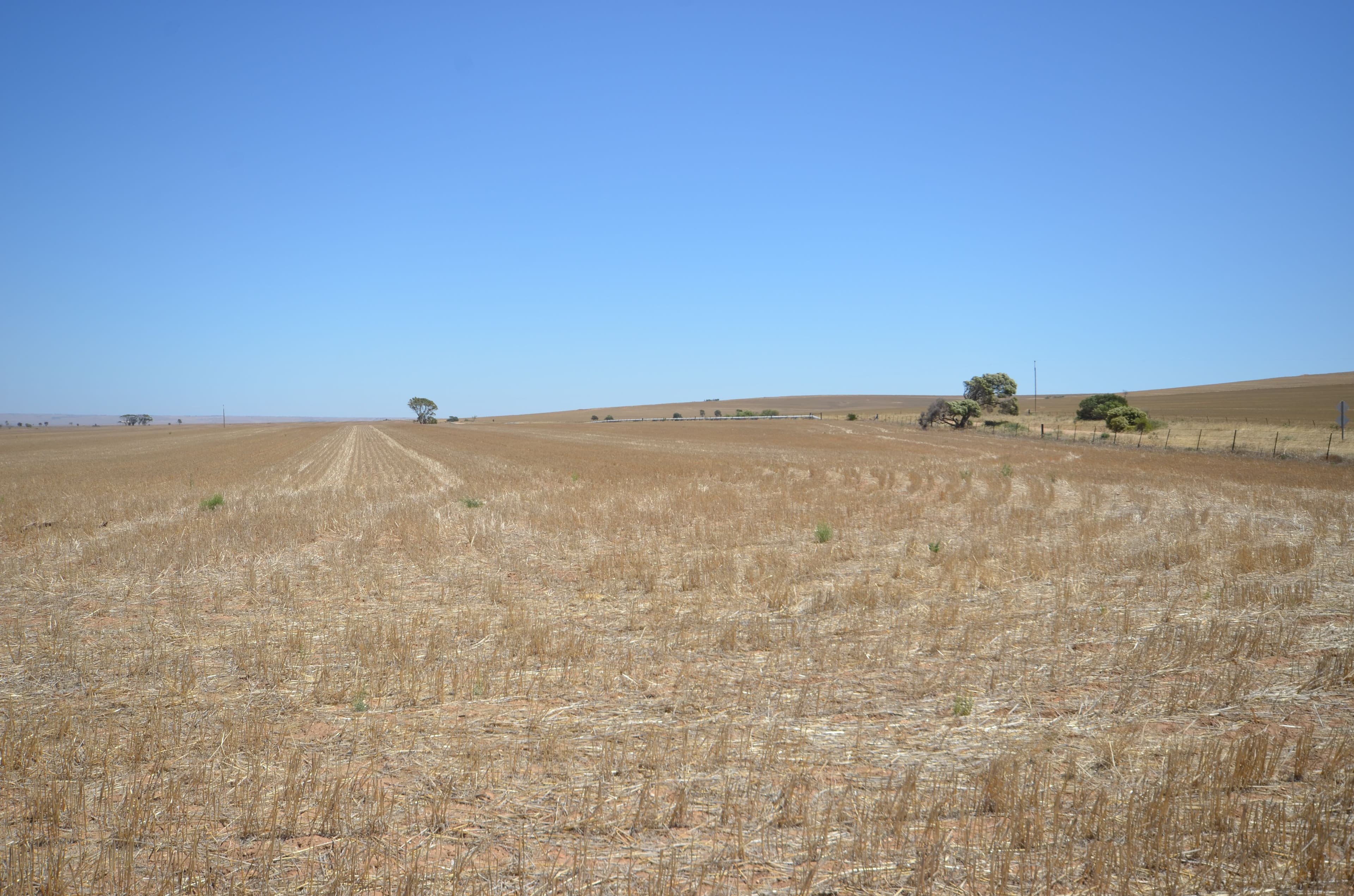 "Forrest" Dohse Road, South Hummocks SA 5550, South Hummocks - Thumbnail 3
