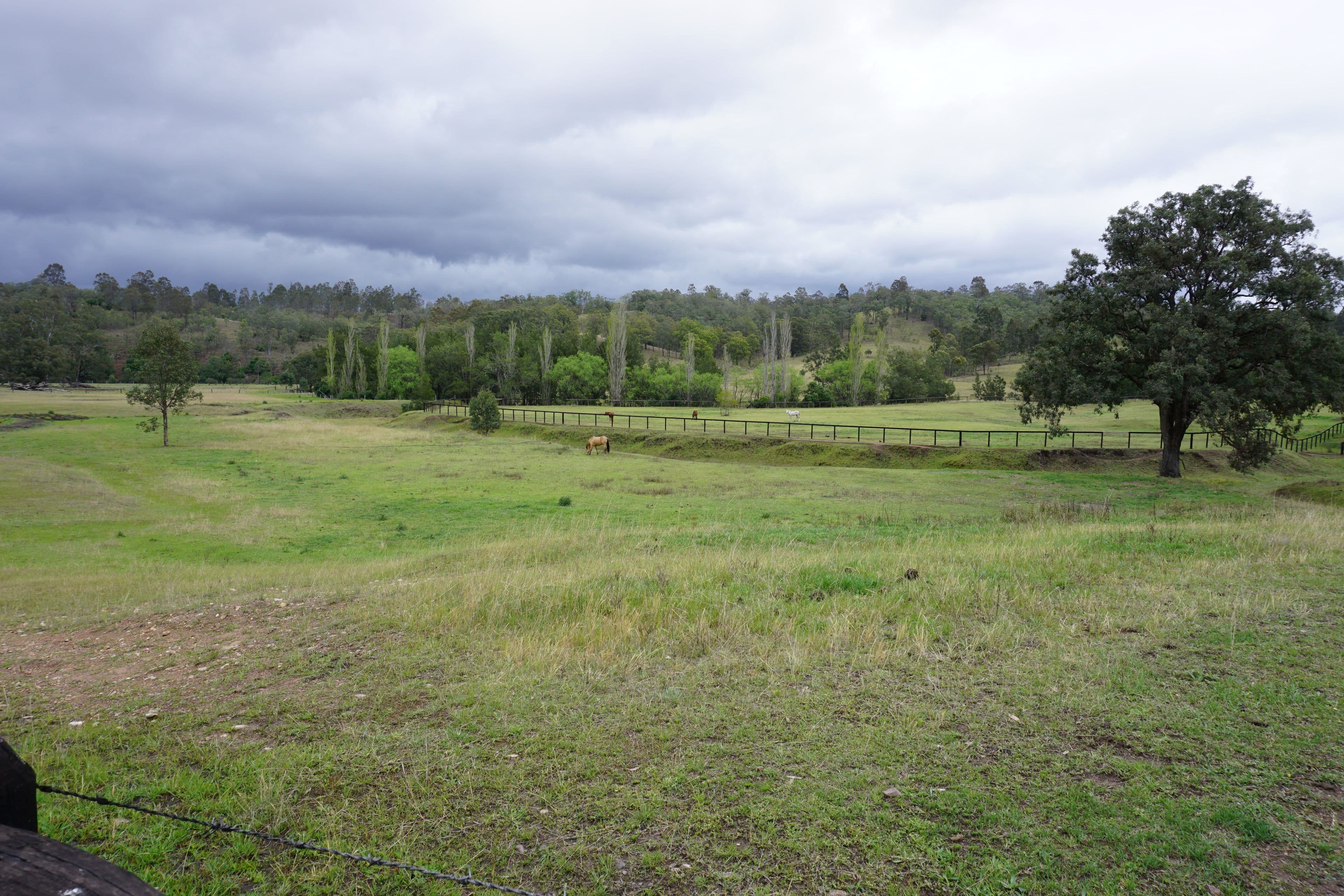 1475 Mirannie Road, Singleton NSW 2330, Singleton - Thumbnail 6
