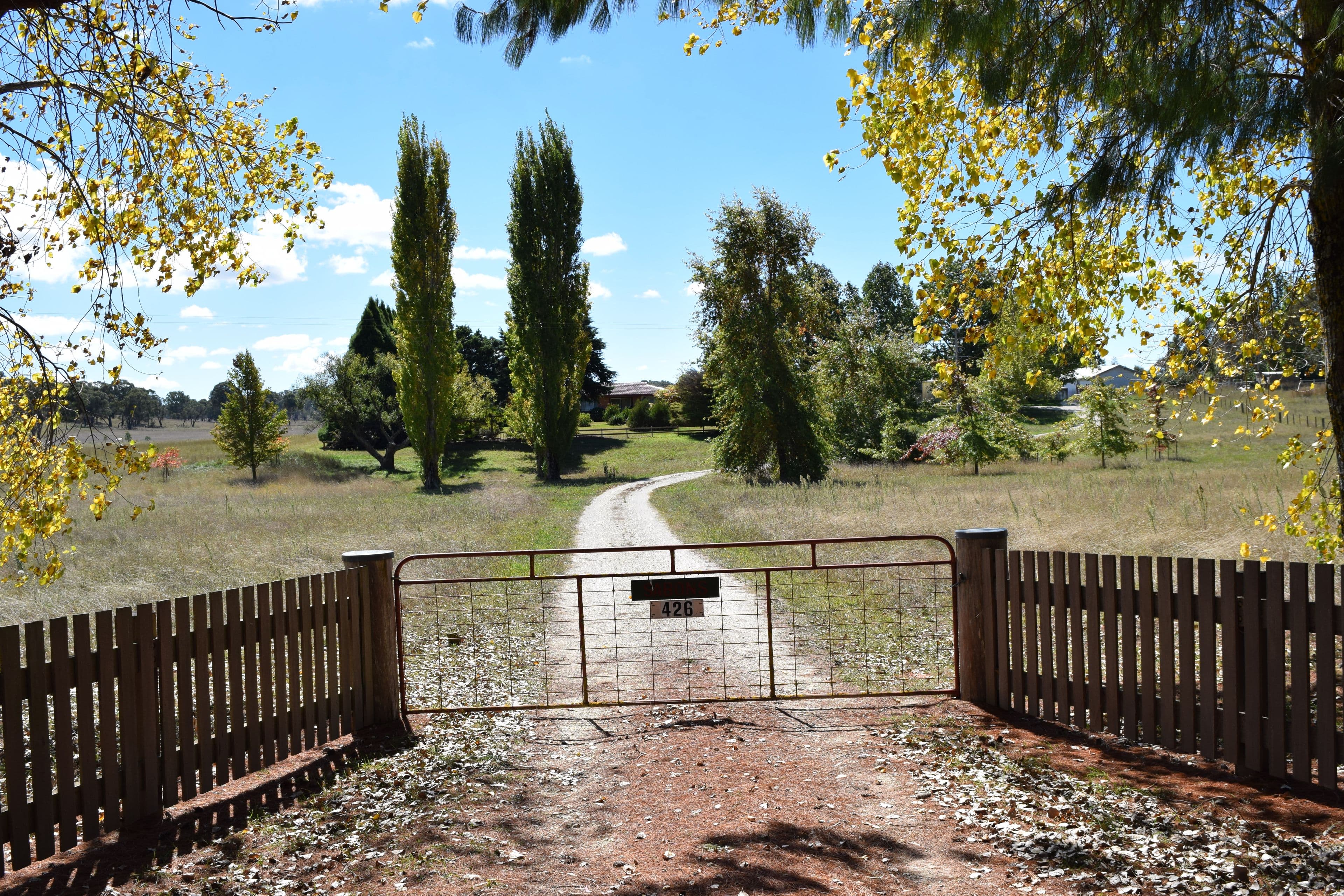 Sabons 426 Baldersleigh Road, Guyra NSW 2365, Guyra - Thumbnail 2