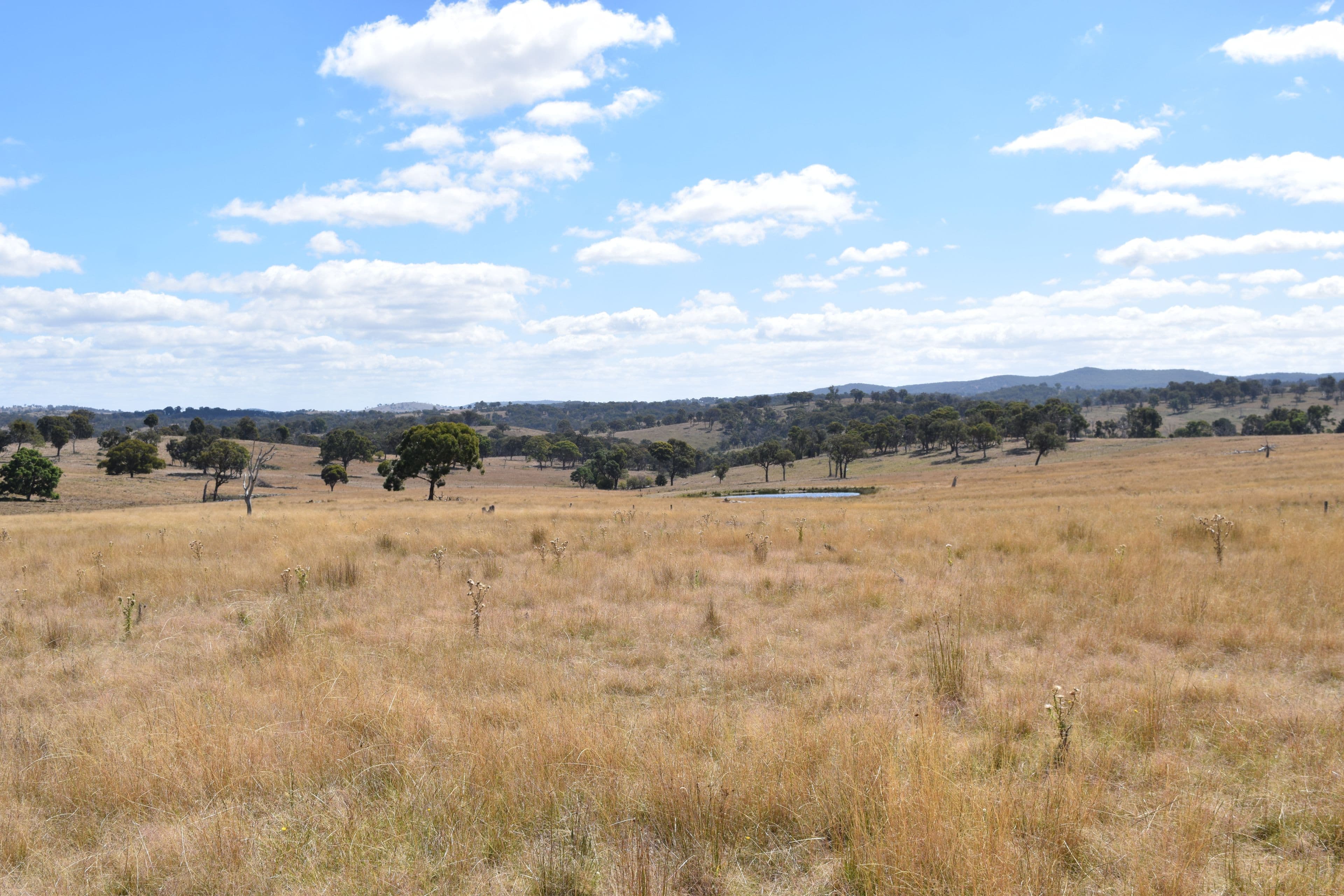 136 Bellbrook East Road, Armidale NSW 2350, Armidale - Thumbnail 8
