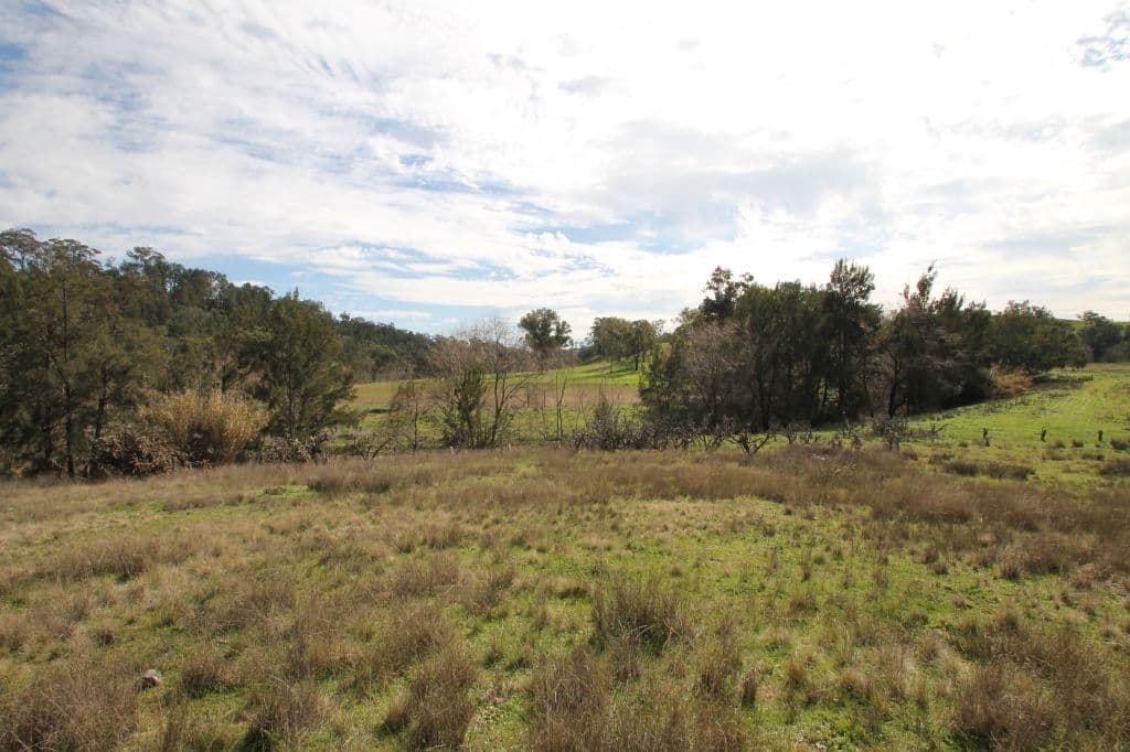 Lot 12 Grandview Place, Quirindi NSW 2343, Quirindi - Thumbnail 3