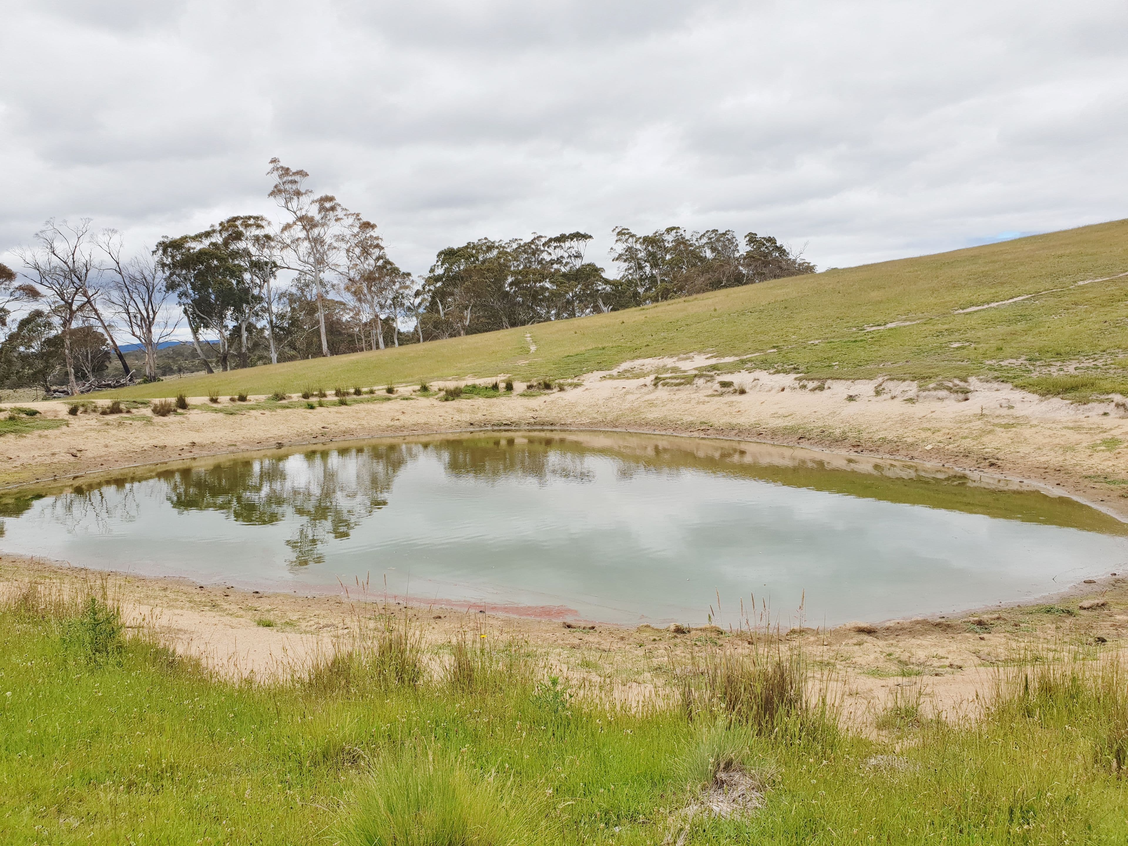 418 Parlour Creek Road, Braidwood NSW 2622, Braidwood - Thumbnail 8