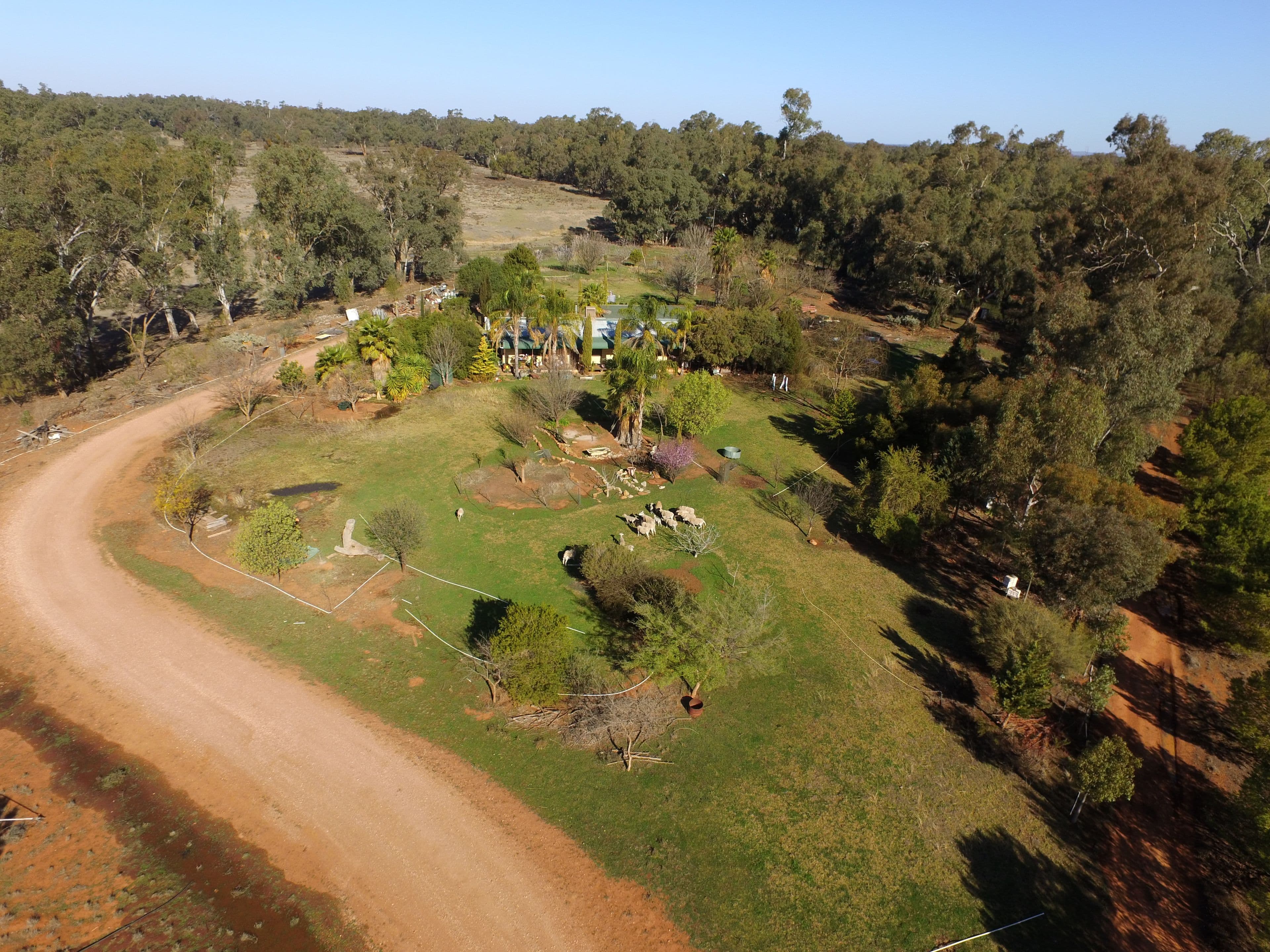 Ammiti Kiacatoo Road, Condobolin NSW 2877, Condobolin - Thumbnail 3