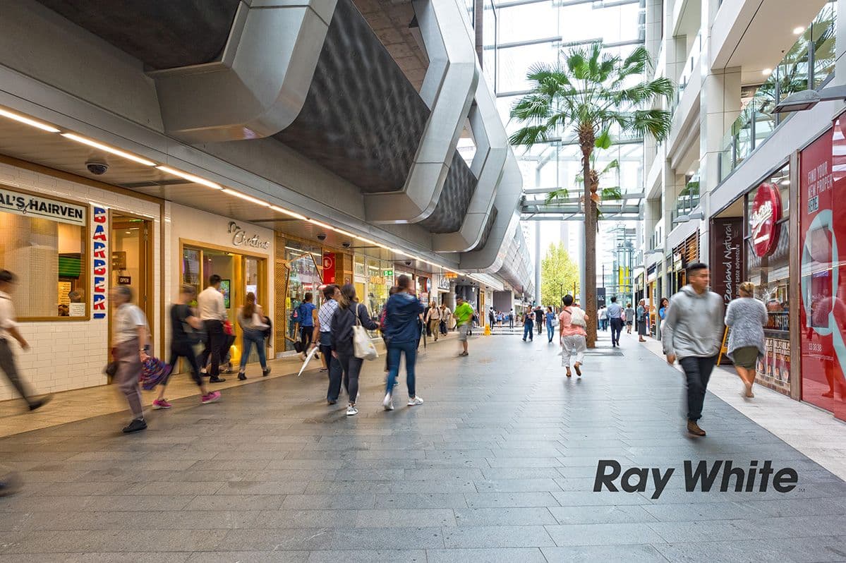 5 Hopetoun Avenue, Chatswood - Thumbnail 7