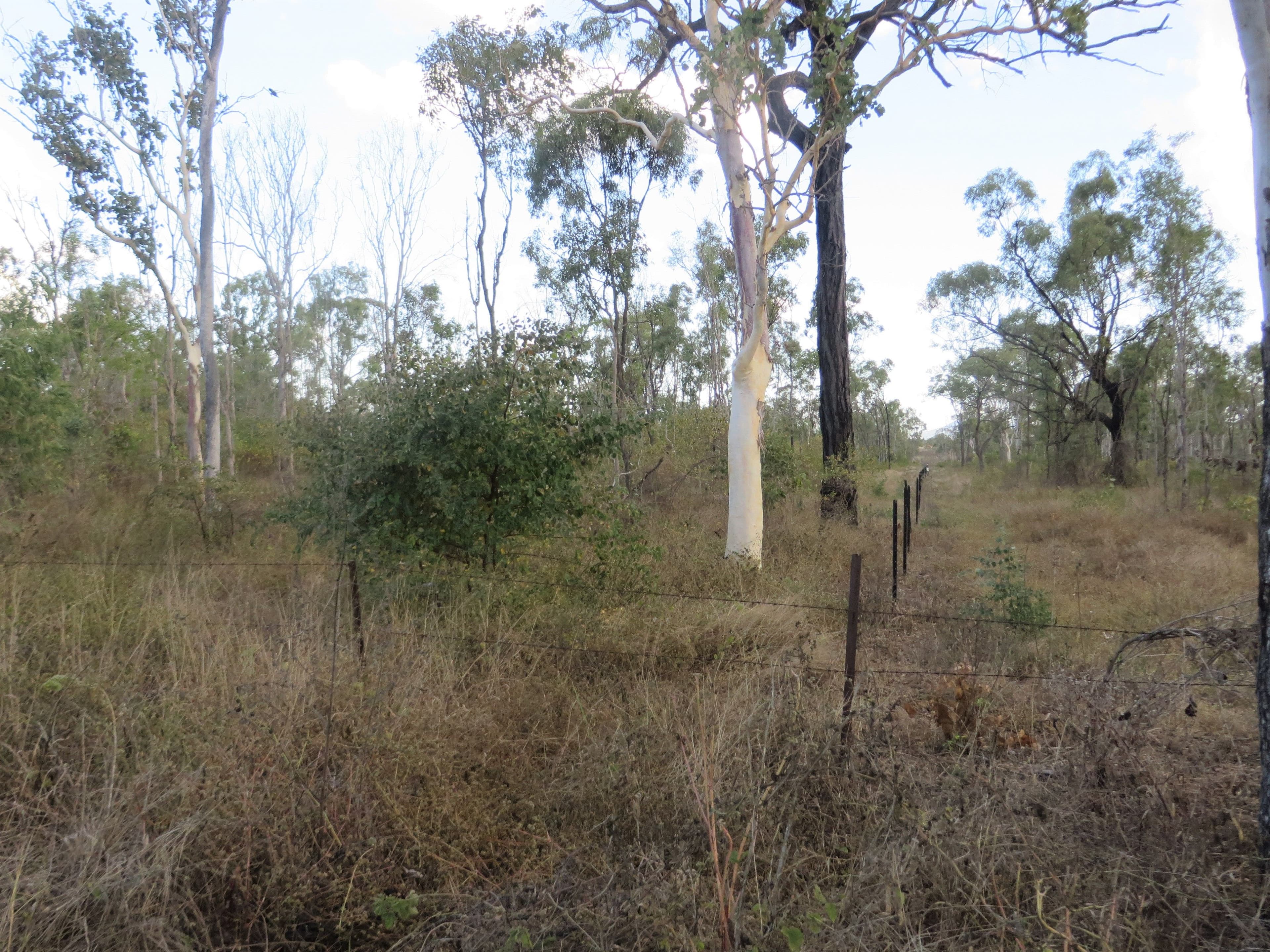 Kirknie QLD 4806, Kirknie - Thumbnail 3