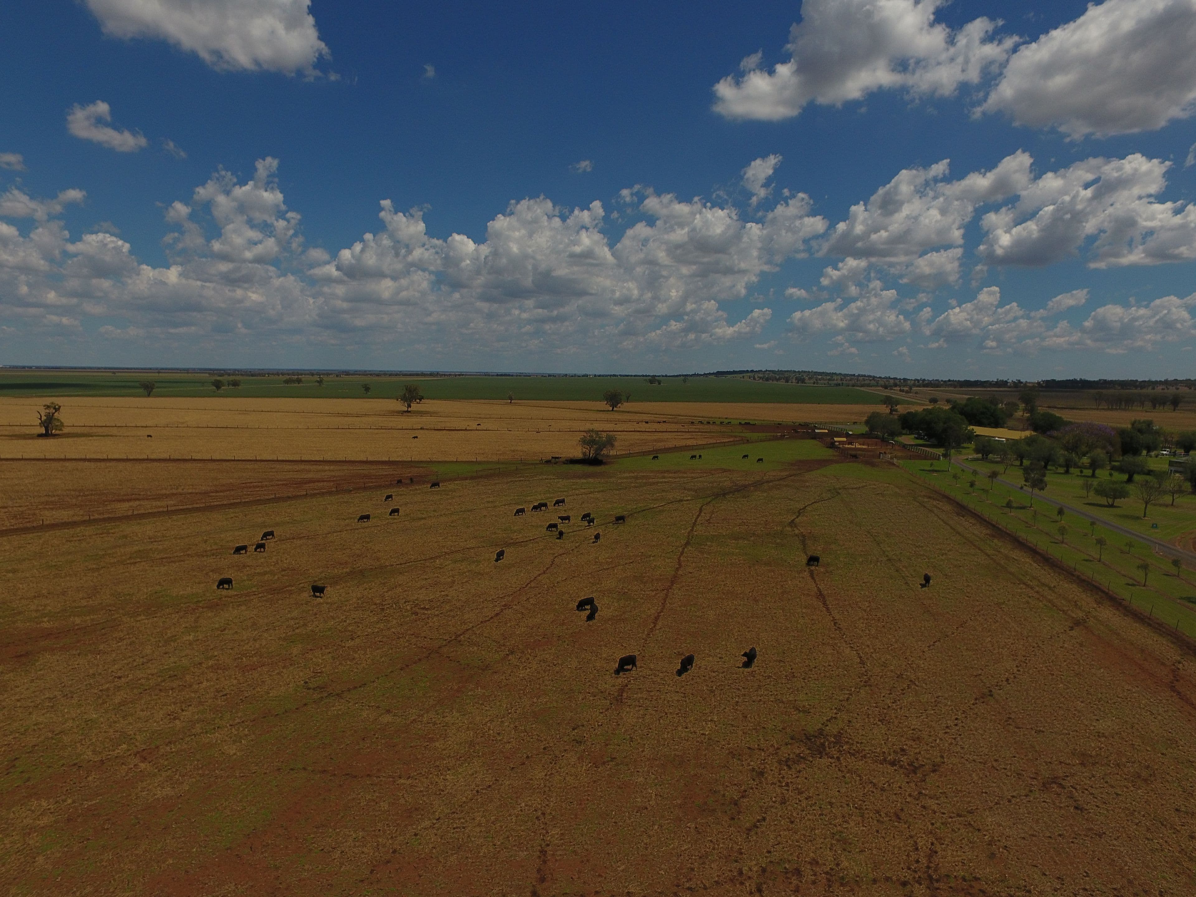 1251 Bunya Highway, Dalby QLD 4405, Dalby - Thumbnail 5