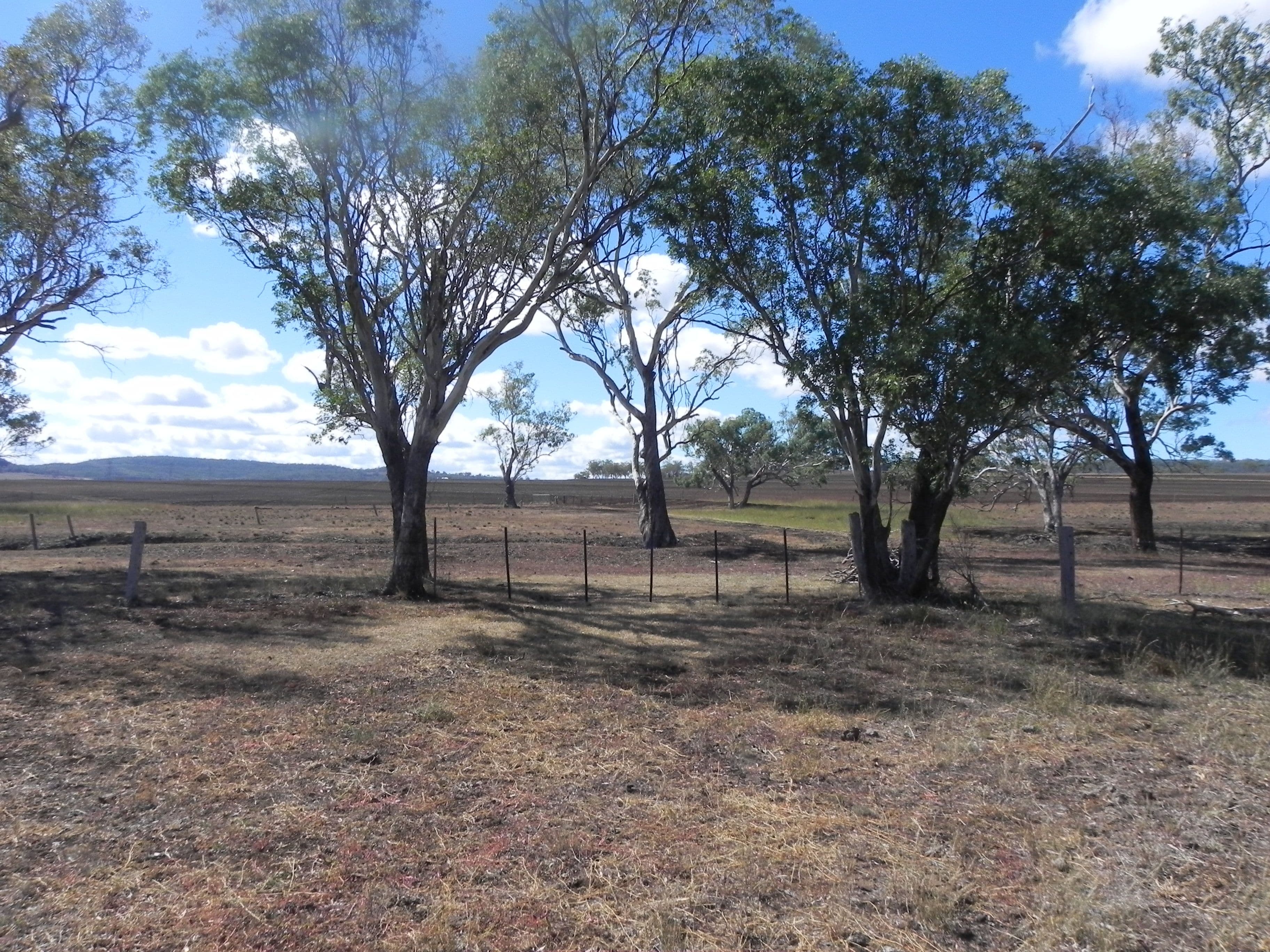 0 Felton - Clifton Road, Felton QLD 4358, Felton - Thumbnail 5