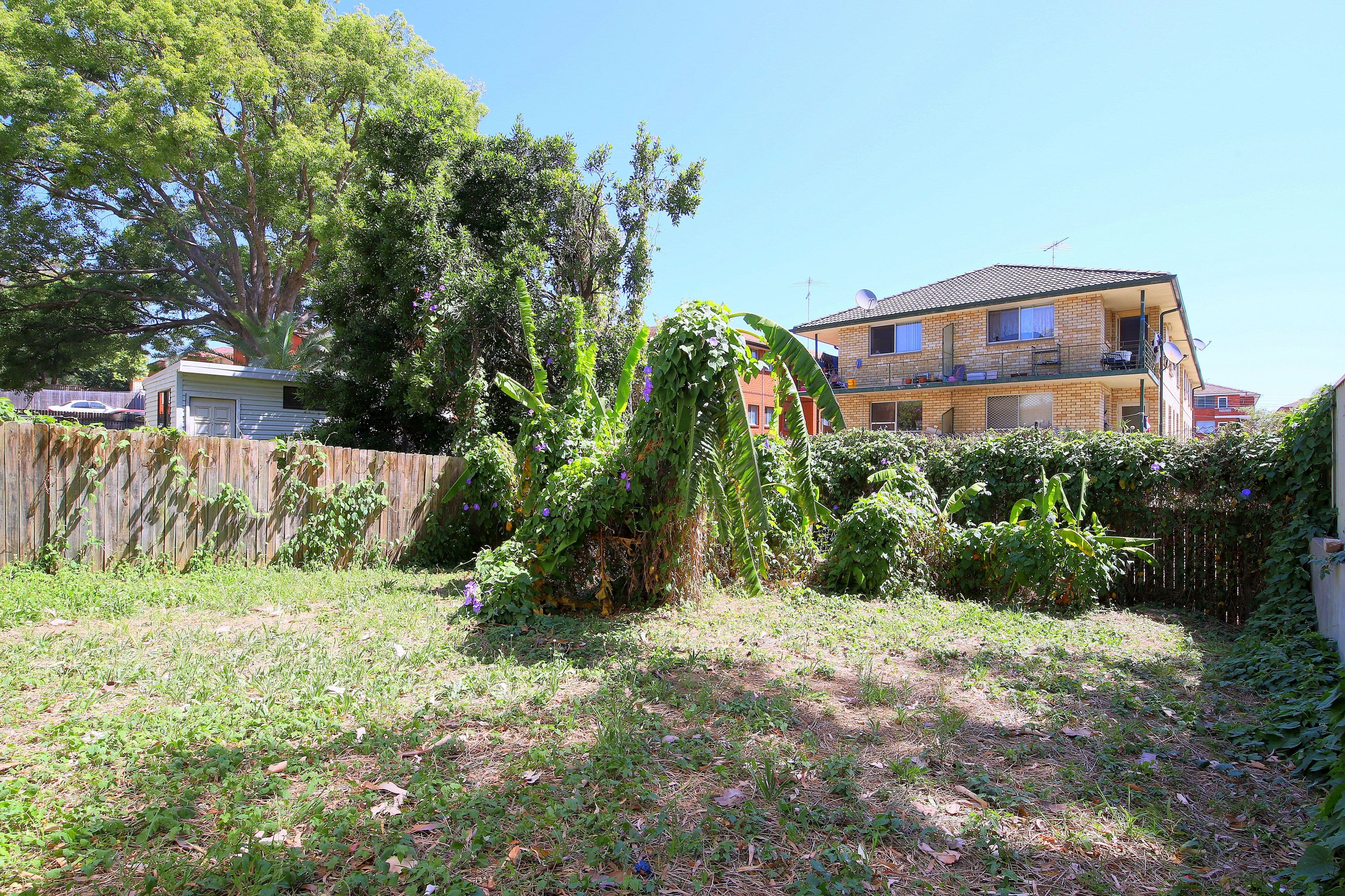 99A Croydon Street, Lakemba NSW 2195, Lakemba - Thumbnail 5