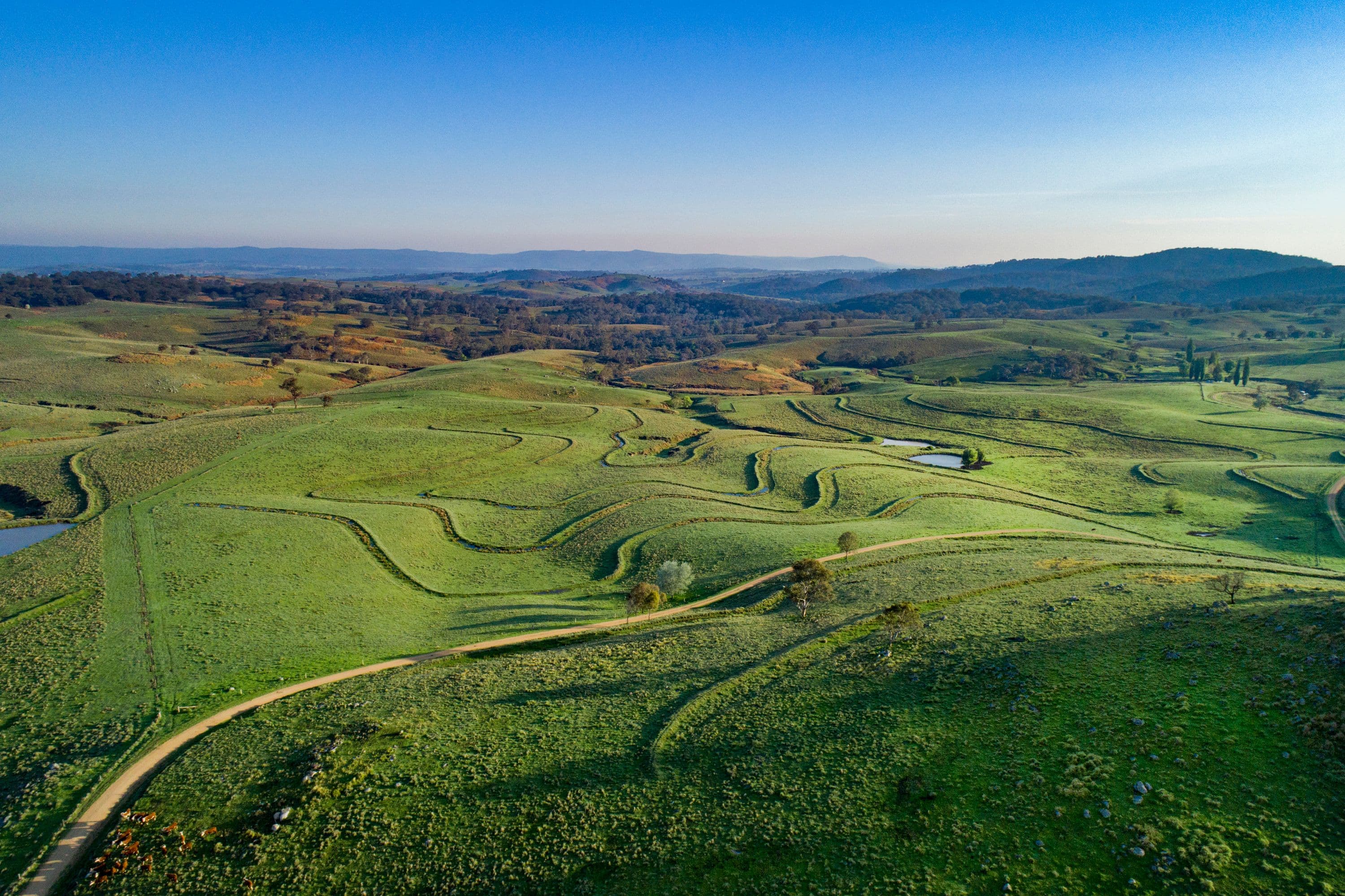 1043 Billirimba Road, Tenterfield NSW 2372, Tenterfield - Thumbnail 2