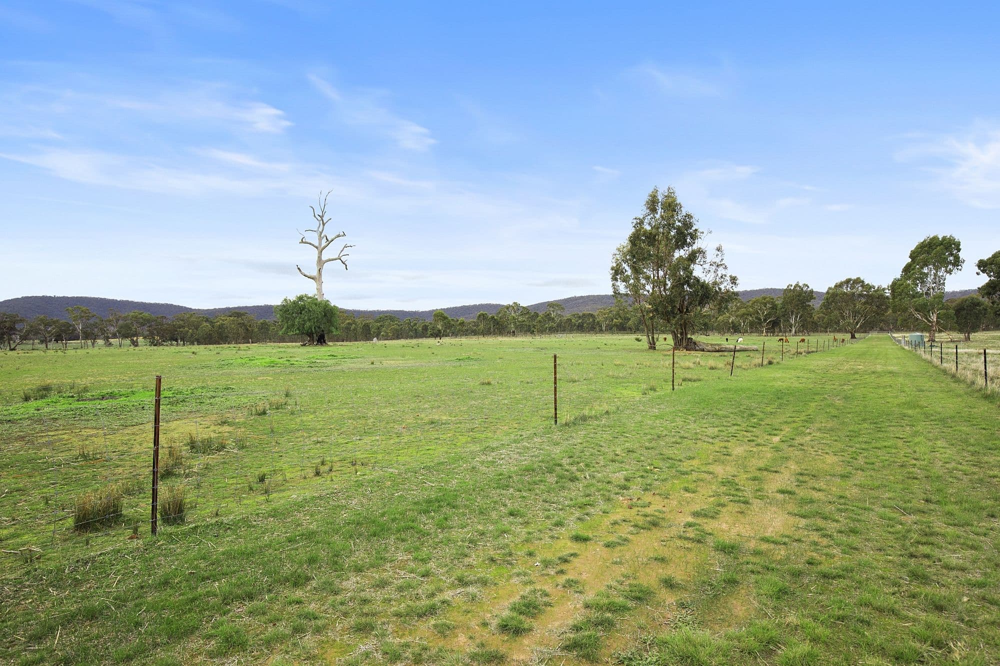 191 Landsborough-Elmhurst Road, Landsborough VIC 3384, Landsborough - Thumbnail 6