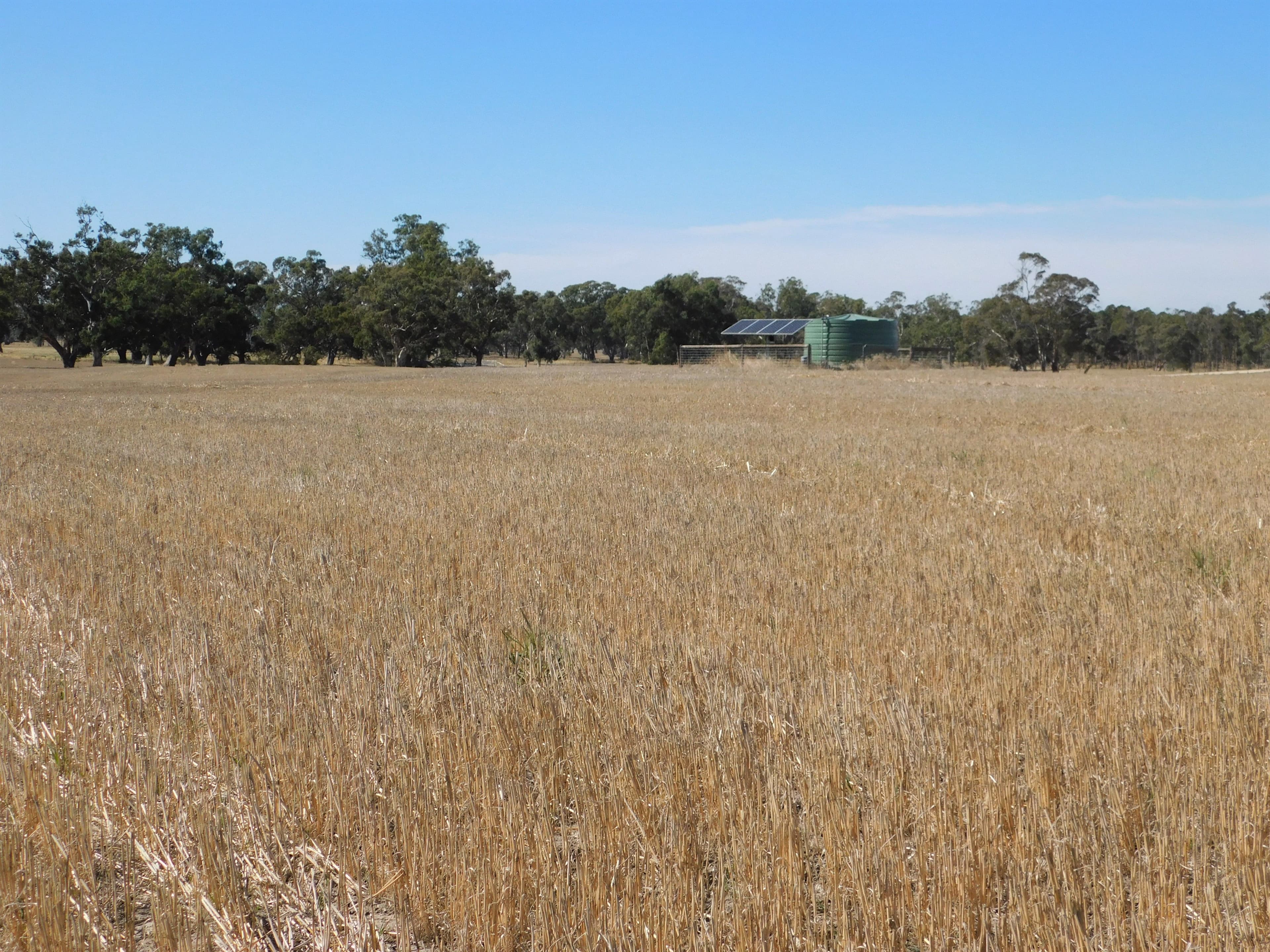 Lot 30 -  433 Golf Course Road, Bordertown SA 5268, Bordertown - Image 1