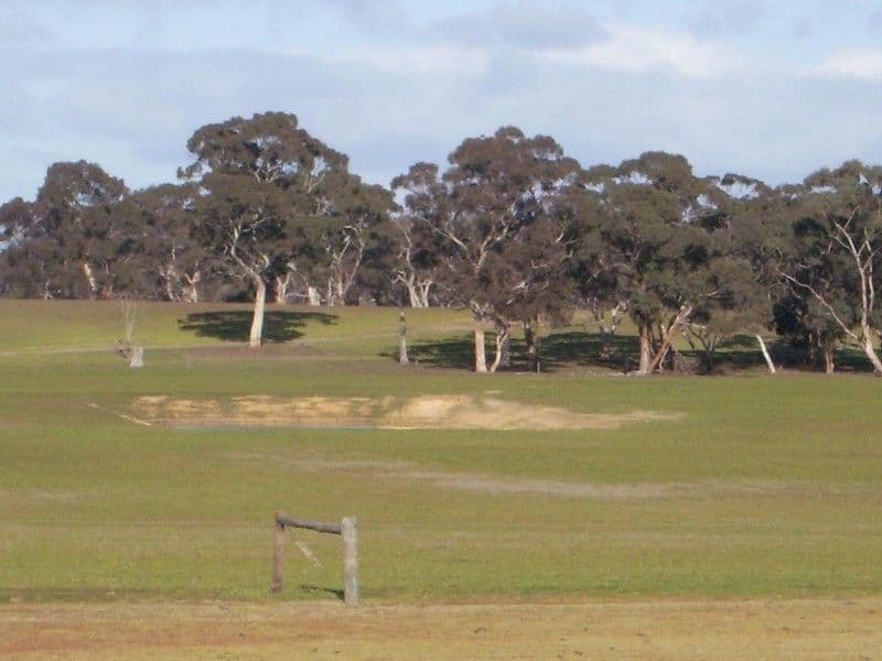 200 acres O'Connells Road, Bordertown SA 5268, Bordertown - Image 1