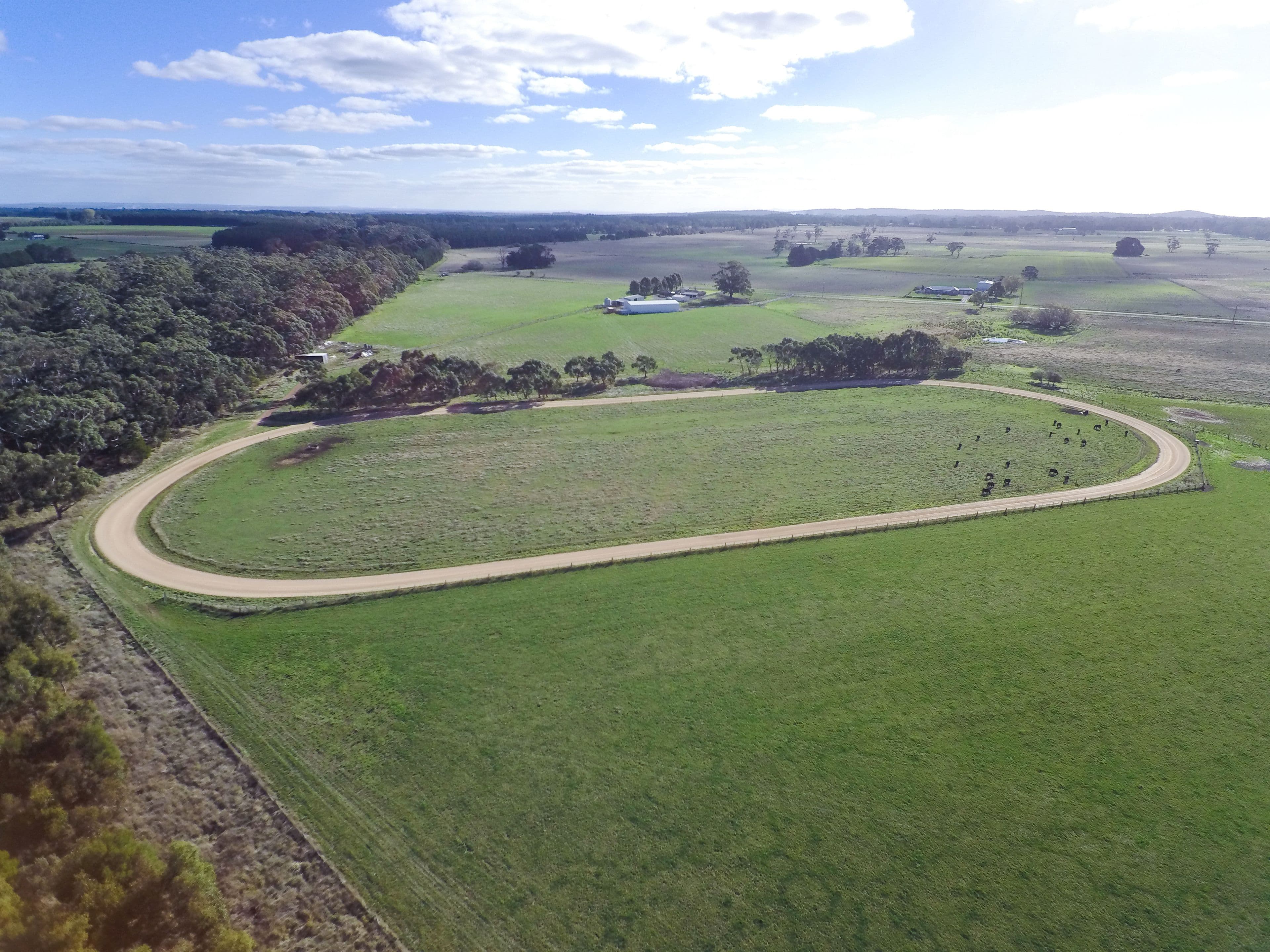 190 Black Swamp Road, Bungaree VIC 3352, Bungaree - Thumbnail 4