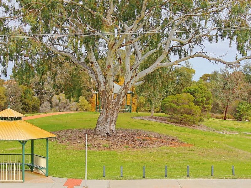 8/2 Wallace Street, Belmont WA 6104, Belmont - Thumbnail 2