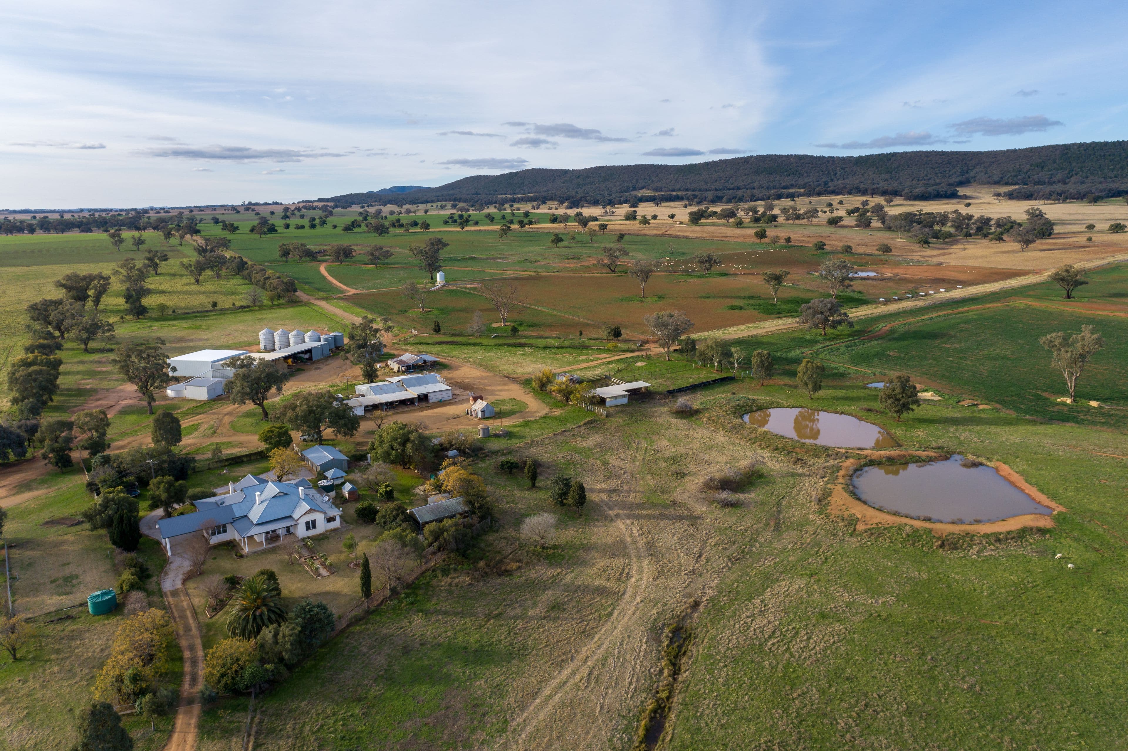 401 Catombal Road, Cumnock NSW 2867, Cumnock - Image 1