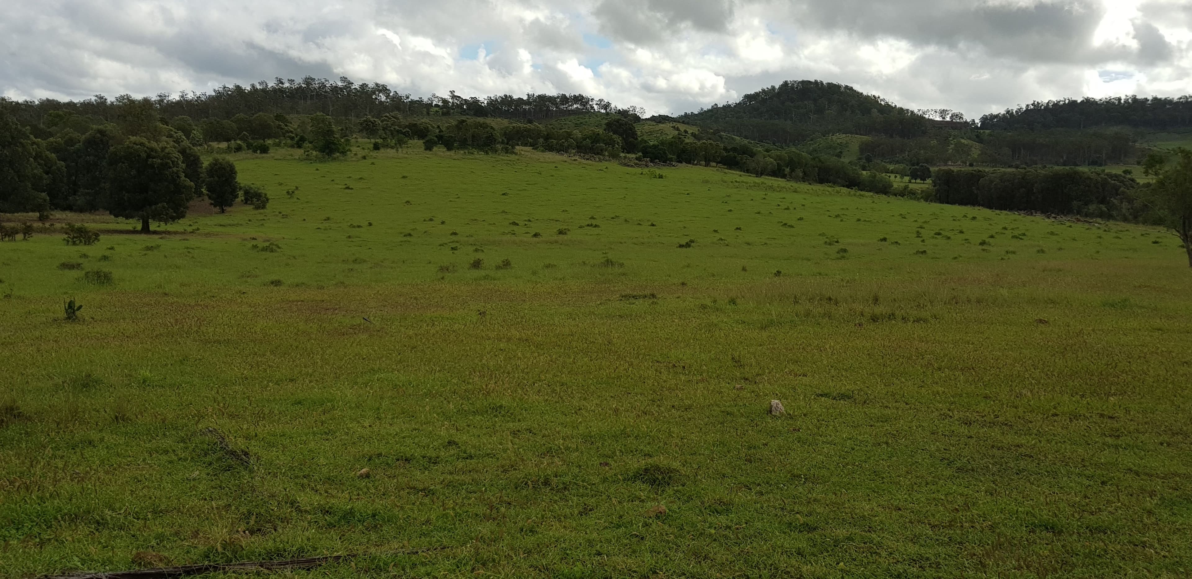 Gayndah QLD 4625, Gayndah - Thumbnail 2