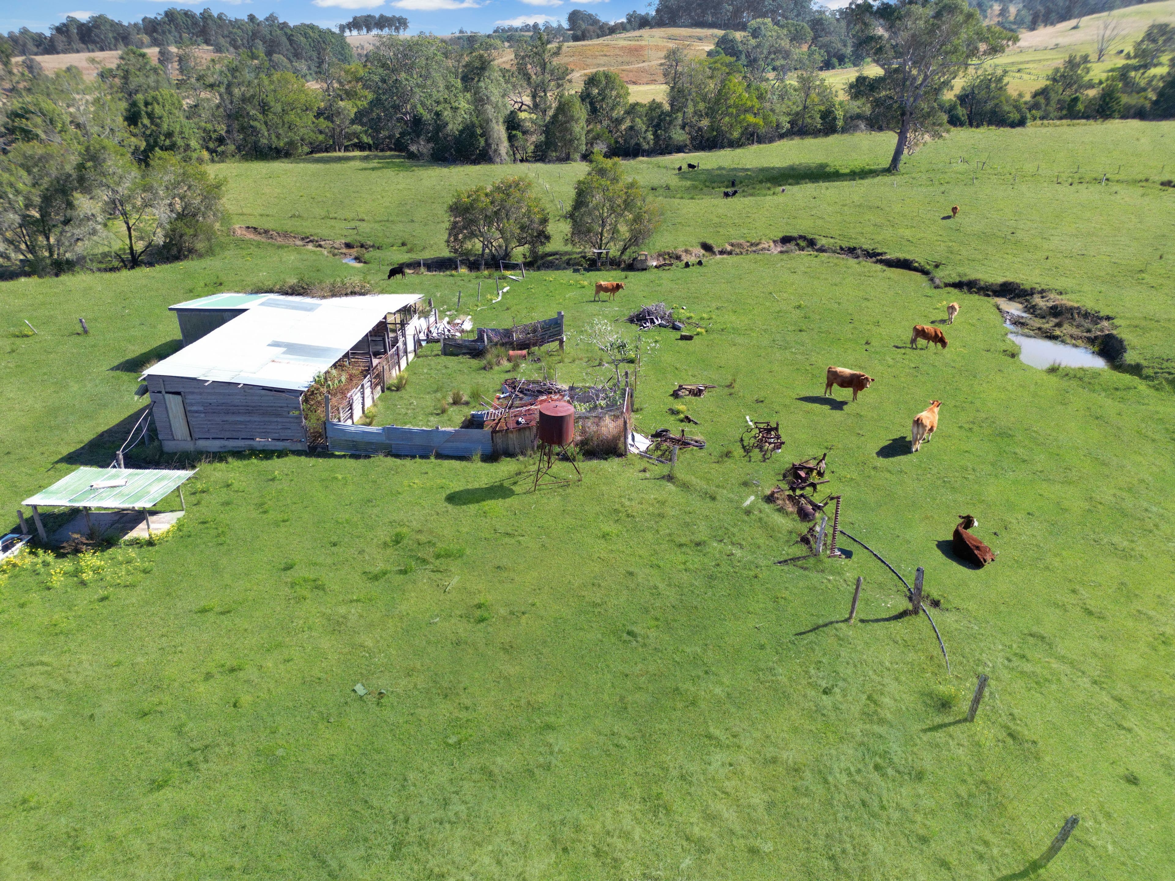 46 Tabulam Road, Bottle Creek NSW 2469, Bottle Creek - Thumbnail 6