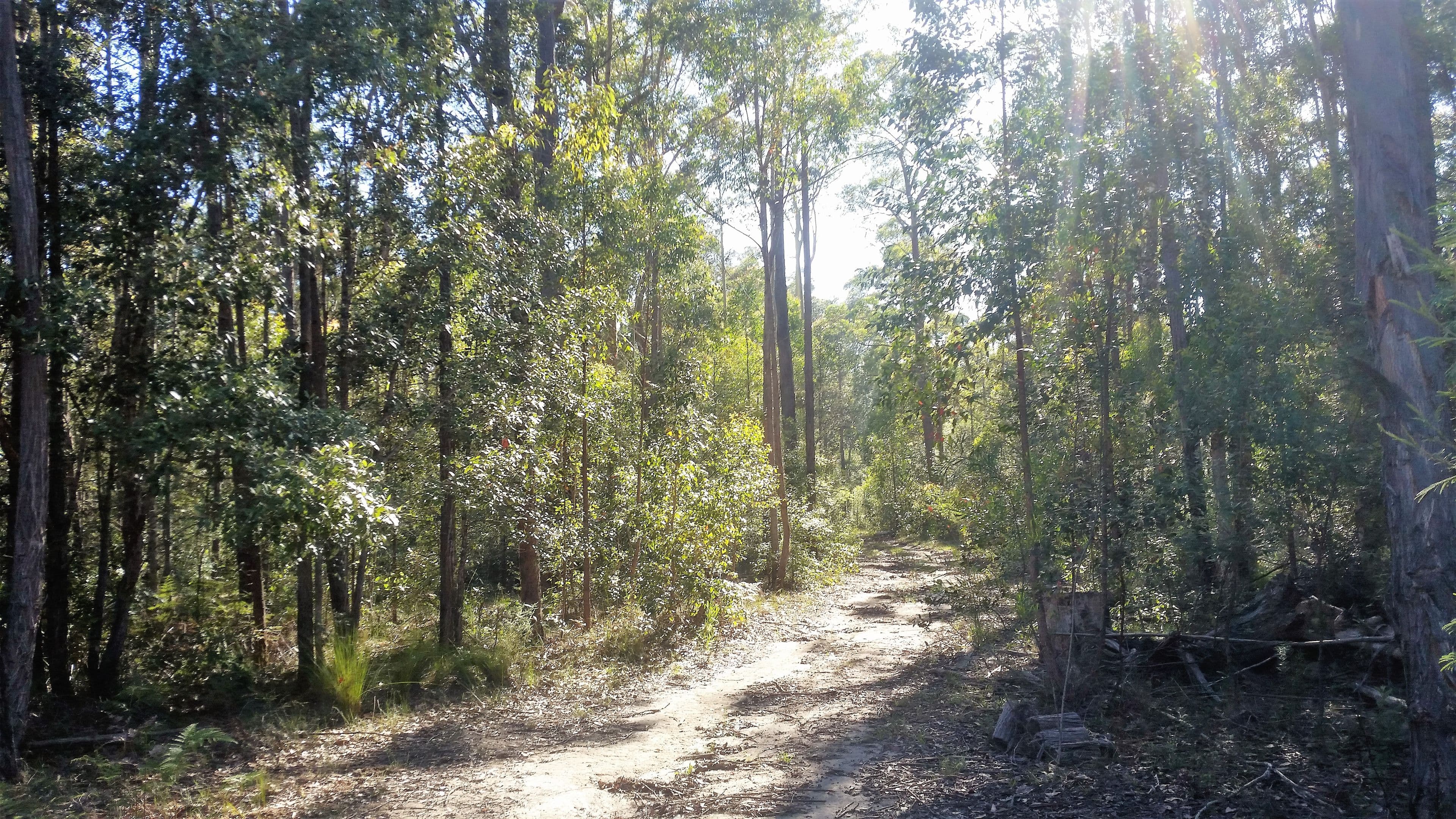 Portion 84 Princes Highway, Termeil NSW 2539, Termeil - Thumbnail 2