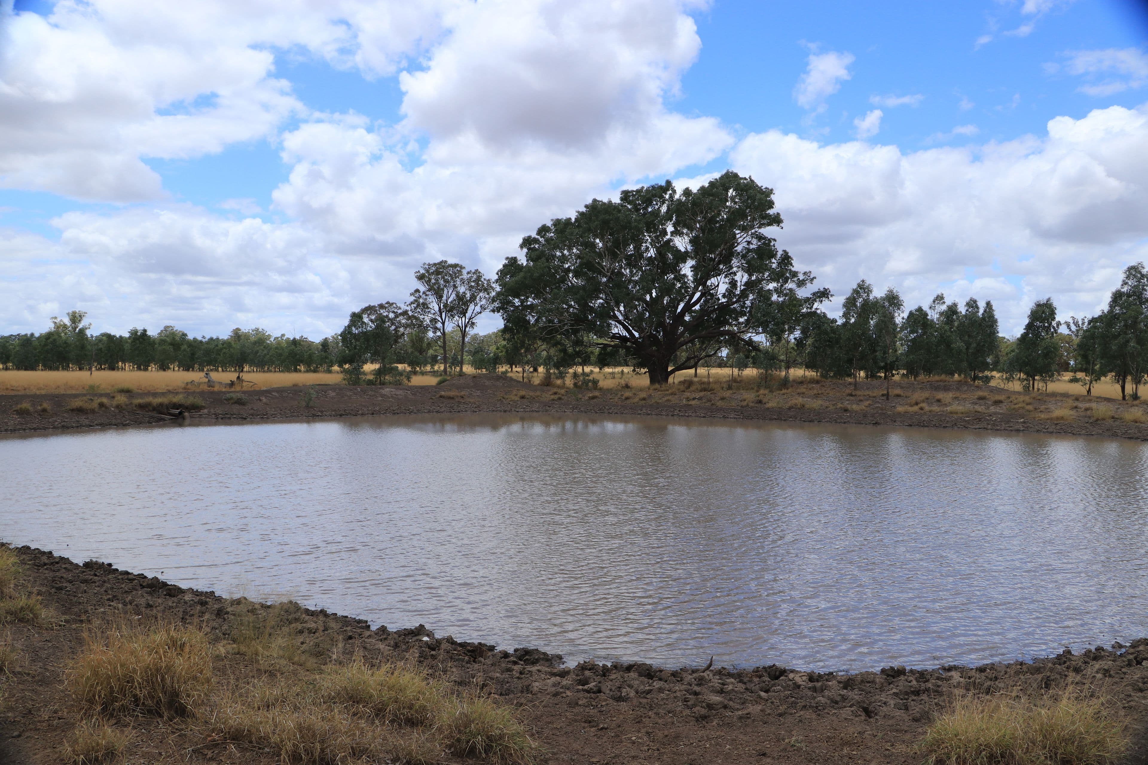 445 Six Mile Road, Roma QLD 4455, Roma - Thumbnail 7