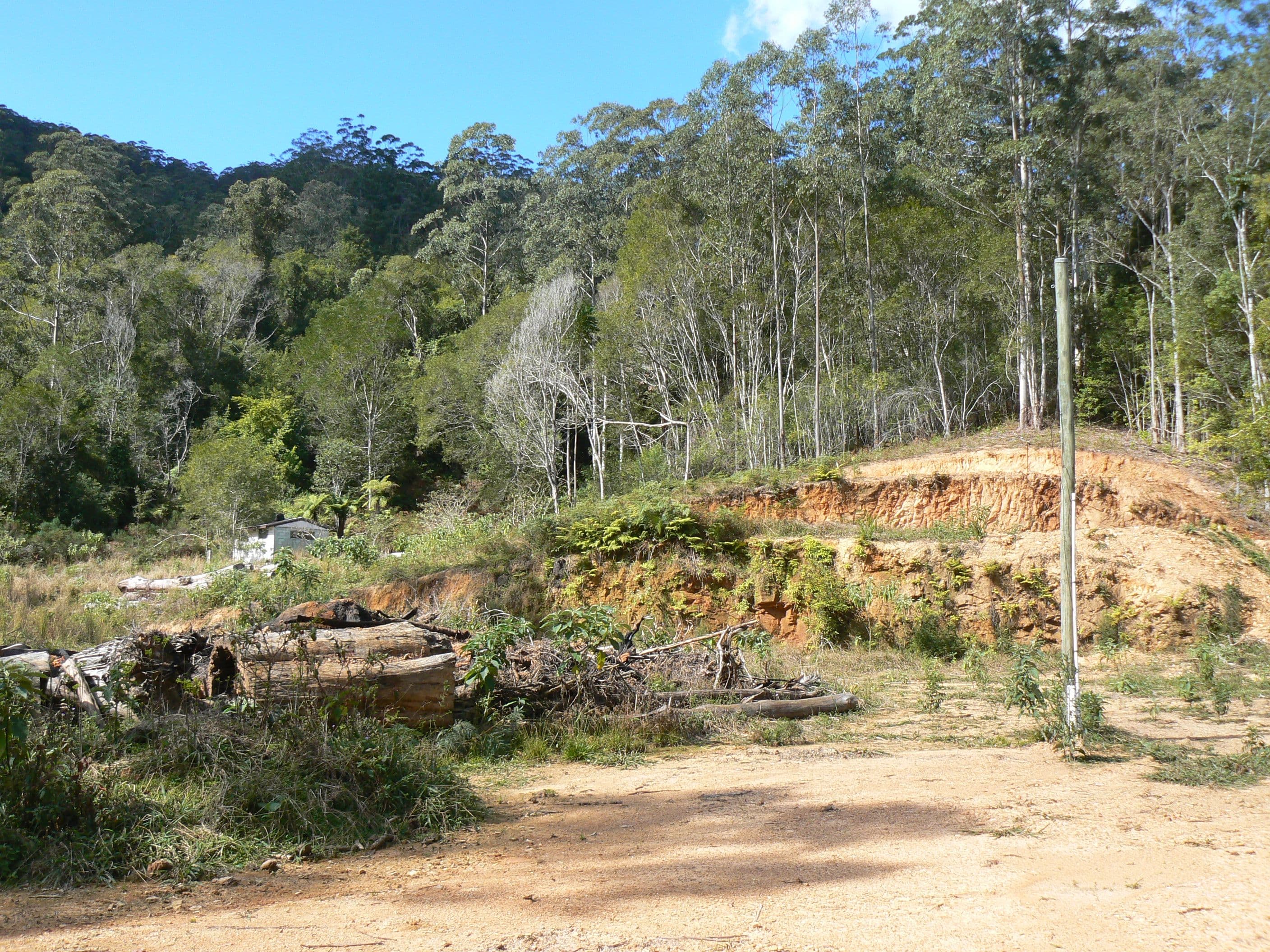 1243 Kalang Road, Bellingen NSW 2454, Bellingen - Thumbnail 7