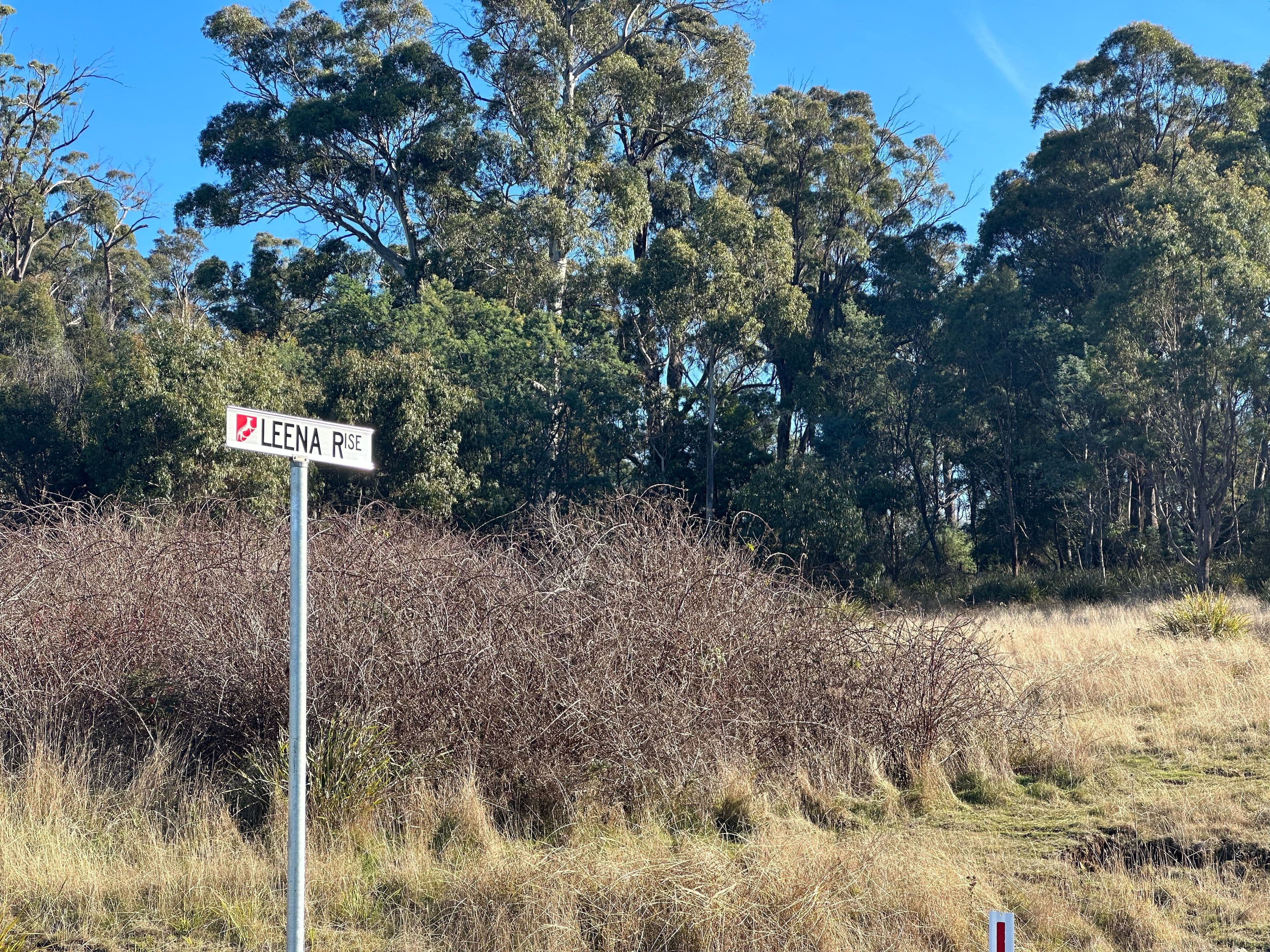 13 Leena Rise, Dilston TAS 7252, Dilston - Thumbnail 4